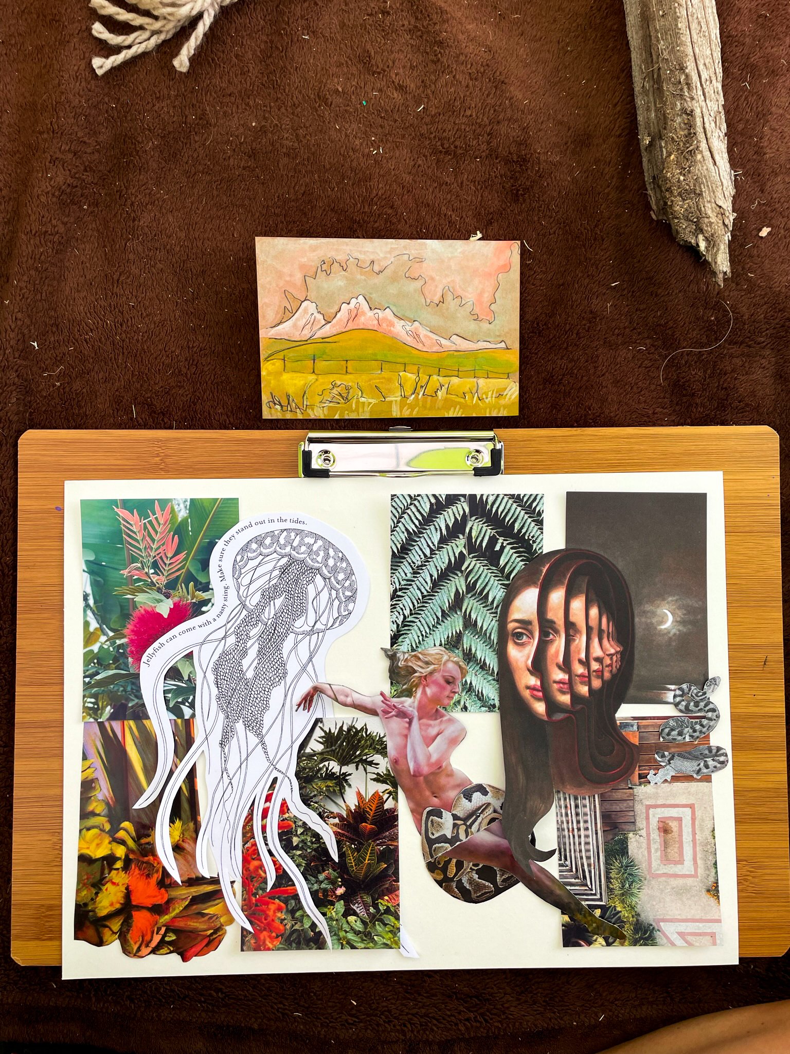 Art in the Wild Re-edits-18.jpg