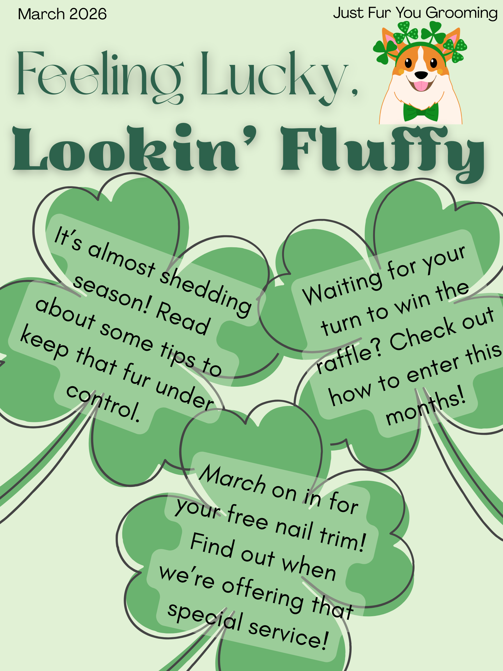 Feeling Lucky, Lookin’ Fluffy!