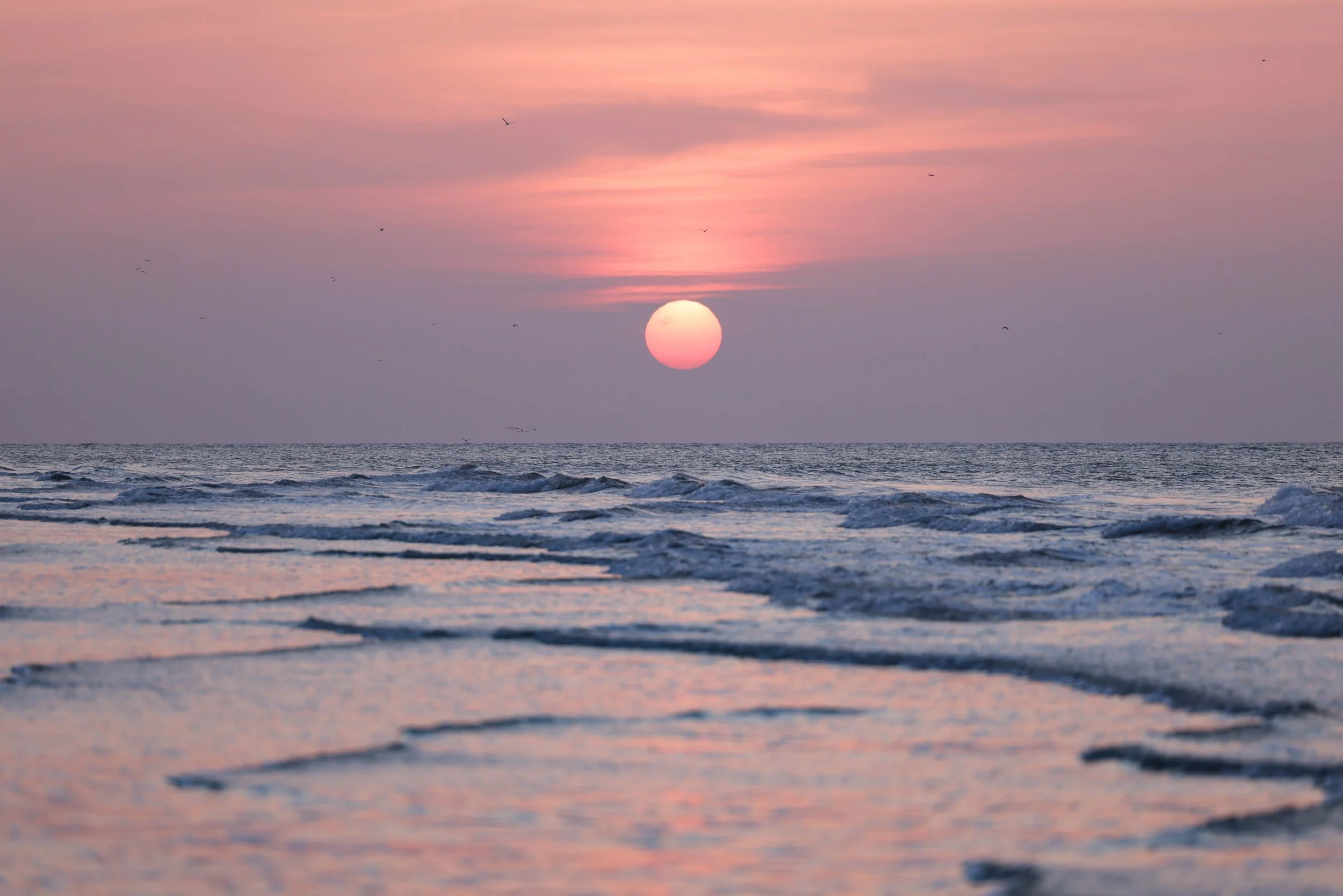 hh2025104 small.jpeg