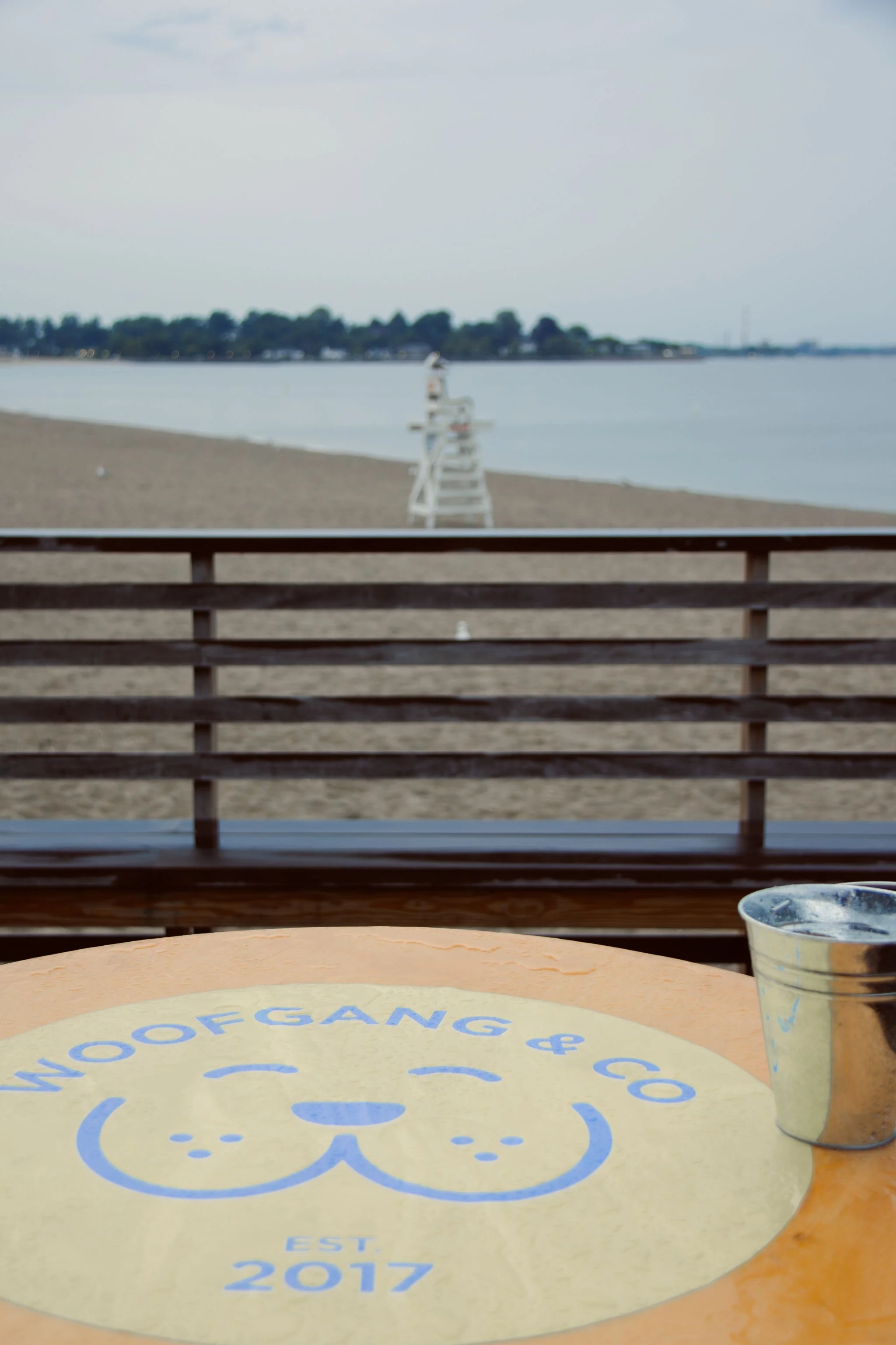 TeamWoofgangSummerParty-76.jpg