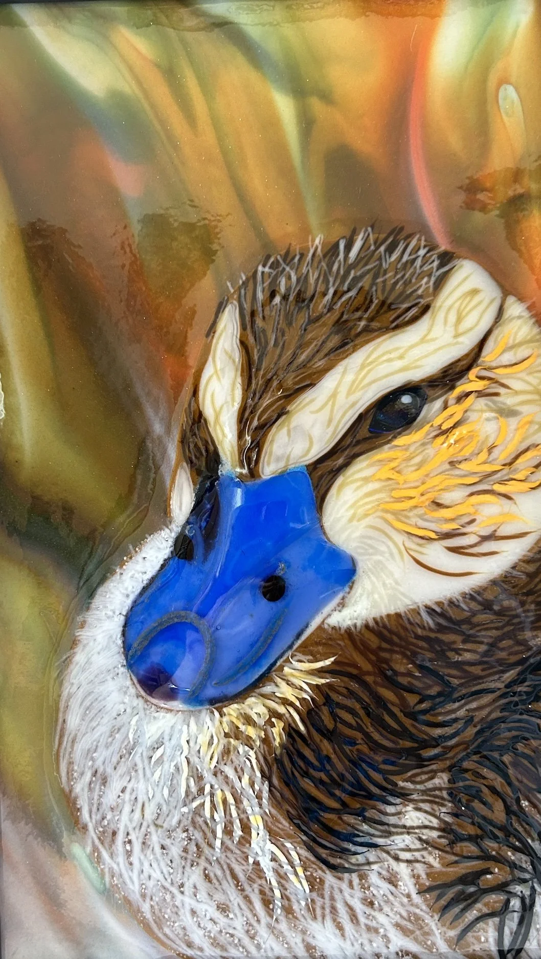 Mallard Chick 2.jpg