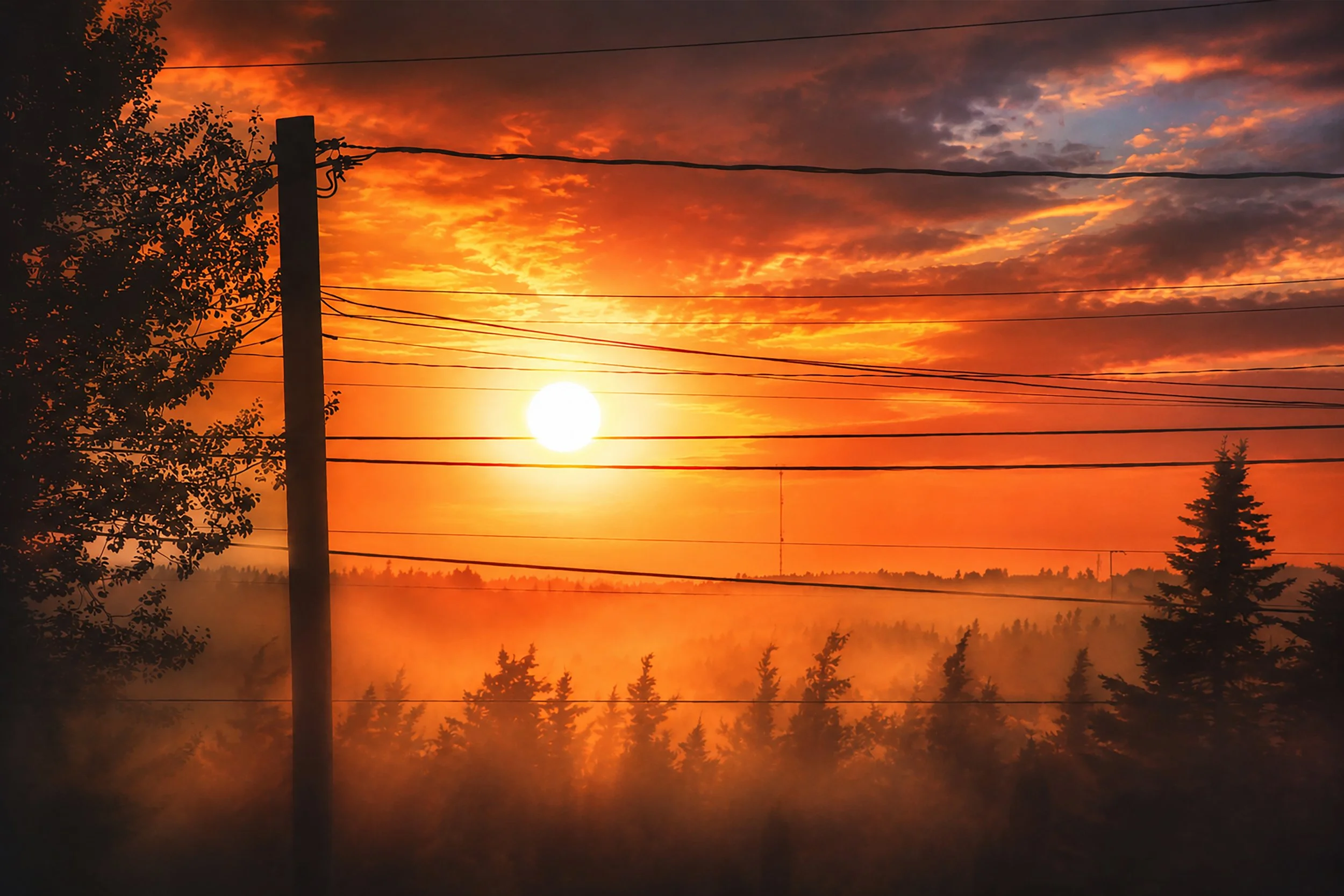 Embers of Dawn