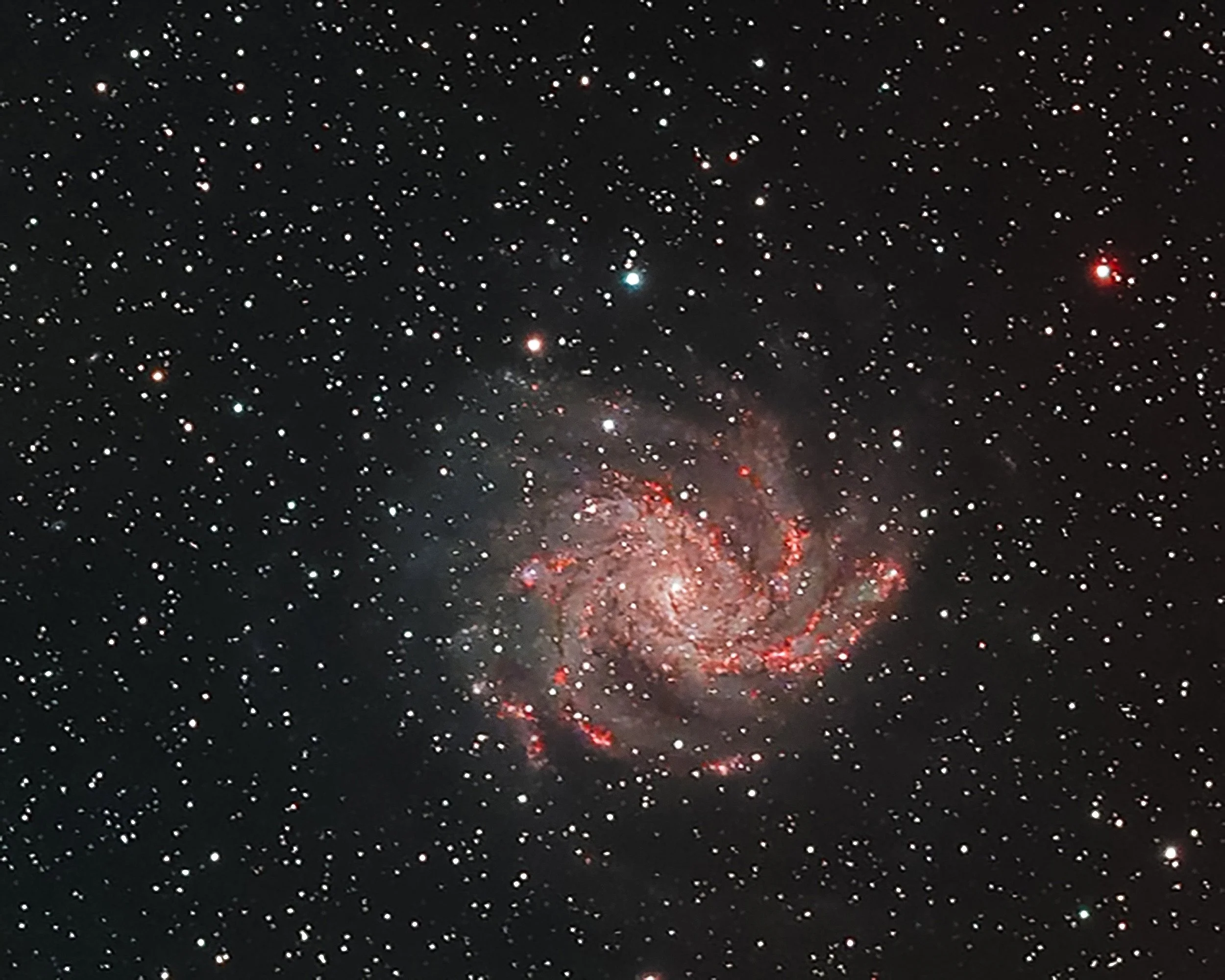 The Fireworks Galaxy
Captured from home using the ZWO SeeStar

452 stacked exposures, each 10 seconds
250mm • ISO 80

This little spiral sits over 25 million light-years away on the border of Cygnus and Cepheus, and it absolutely lives up to its name