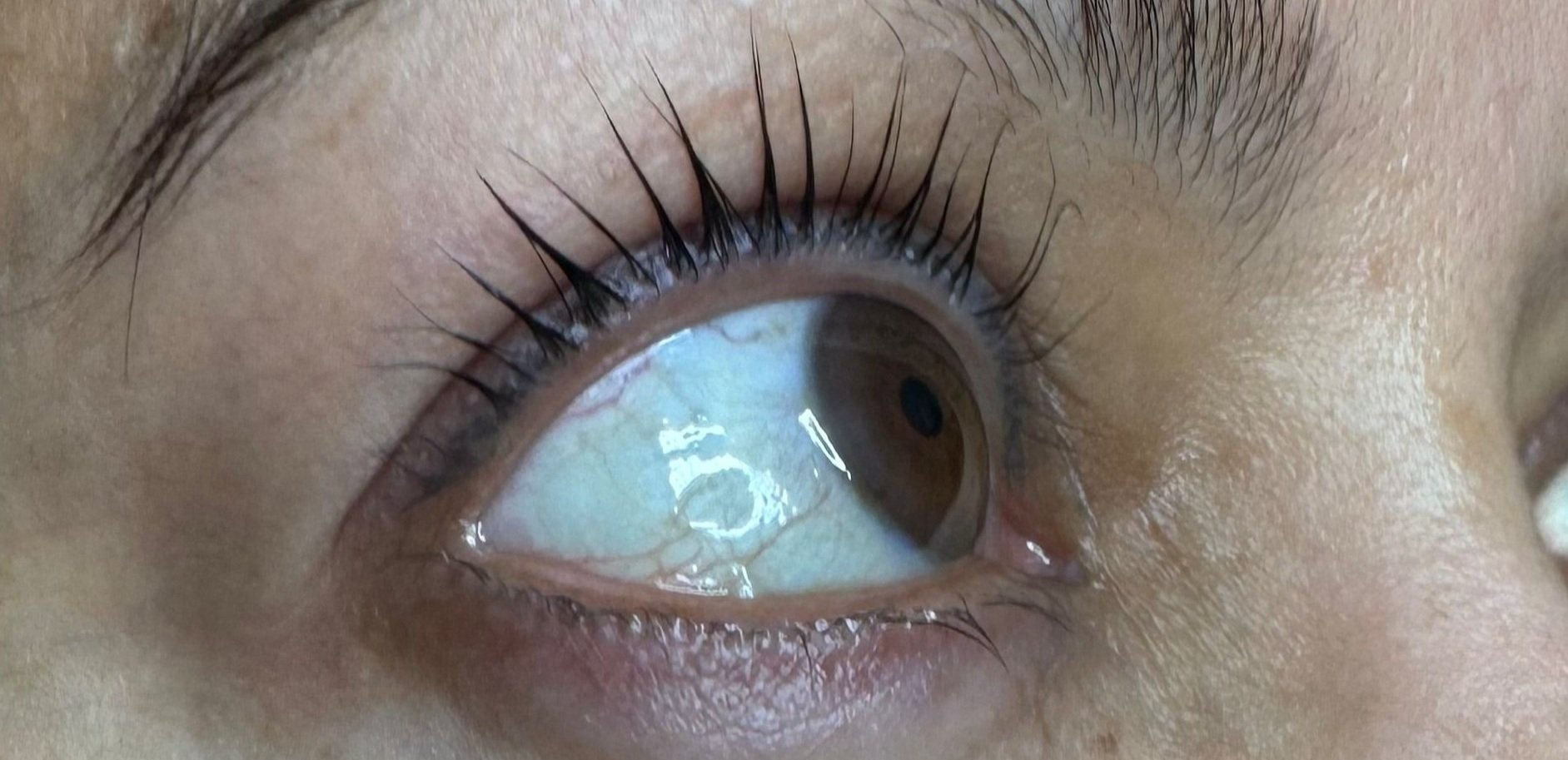 After lash lift