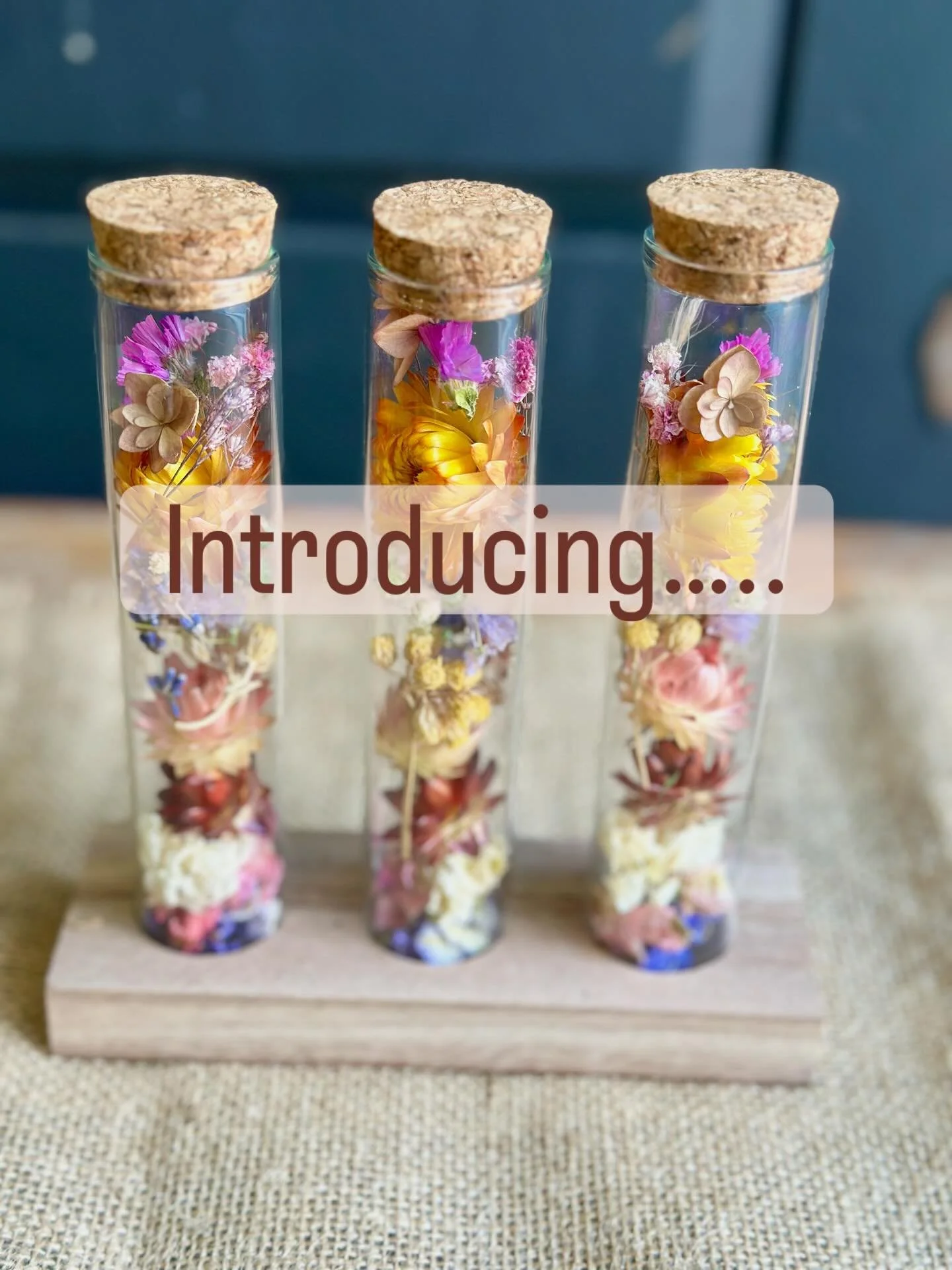 β¨ Introducing our Little Pods of Joy β¨
Tiny glass pods filled with dried blooms — each one a little moment of happiness, captured in time.
Perfect as a thoughtful gift, a pick-me-up for a friend, or a pretty detail for your shelf at home.
Eve