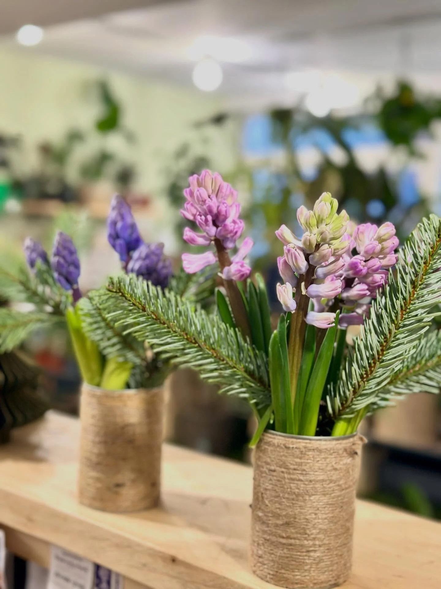 Our shop is filled with winter flowery treats!❄️
Hyacinths, seasonal greenery, that unmistakable seasonal scent 💫

Available now in the shop&hellip;perfect for subtle Christmas styling, for your home or for gifting this Christmas.

#ruddingtonflower