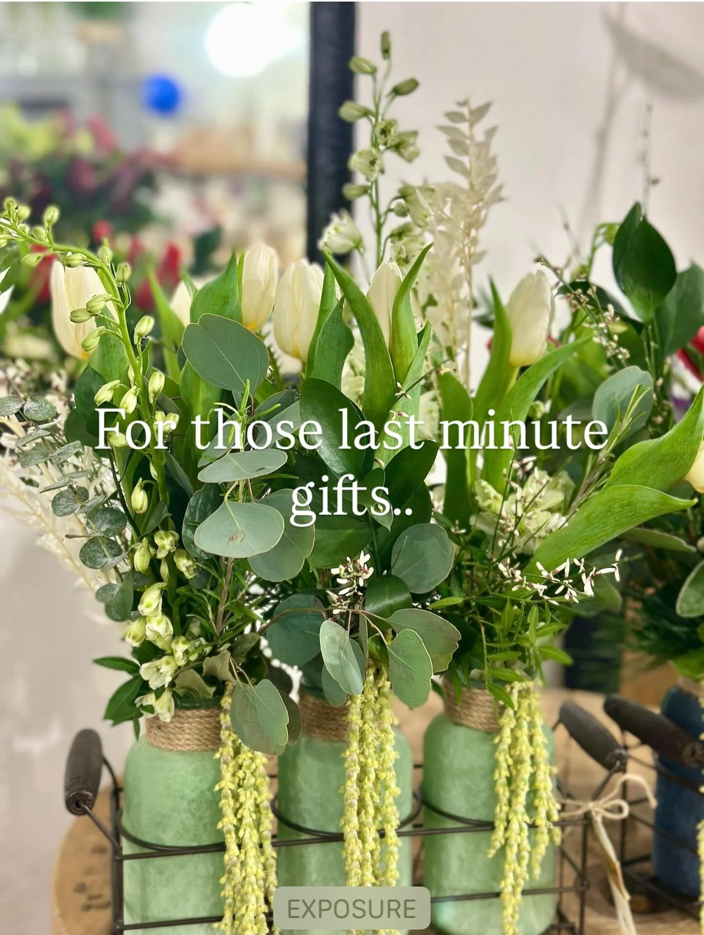 Flowering for you till 1pm today&hellip;&hellip; for all those last minute gifts! 

Find us on Ruddington high street.

#christmasflowers #lastminutegifts #ruddington