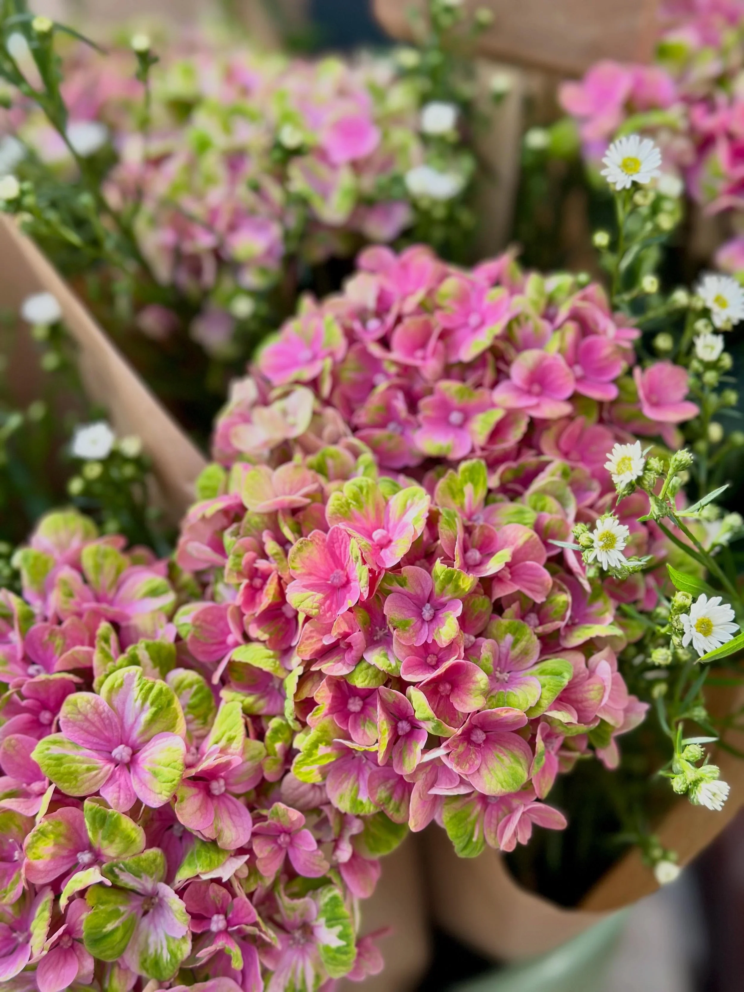 Something flowery for the weekend 🌸🩷

Made in Ruddington&hellip;Delivered throughout Nottingham. 

Eco-friendly Nottingham florist | Ruddington florist | West Bridgford Florist and gift shop | Buy luxury flowers in Nottingham | Send flowers in Nott