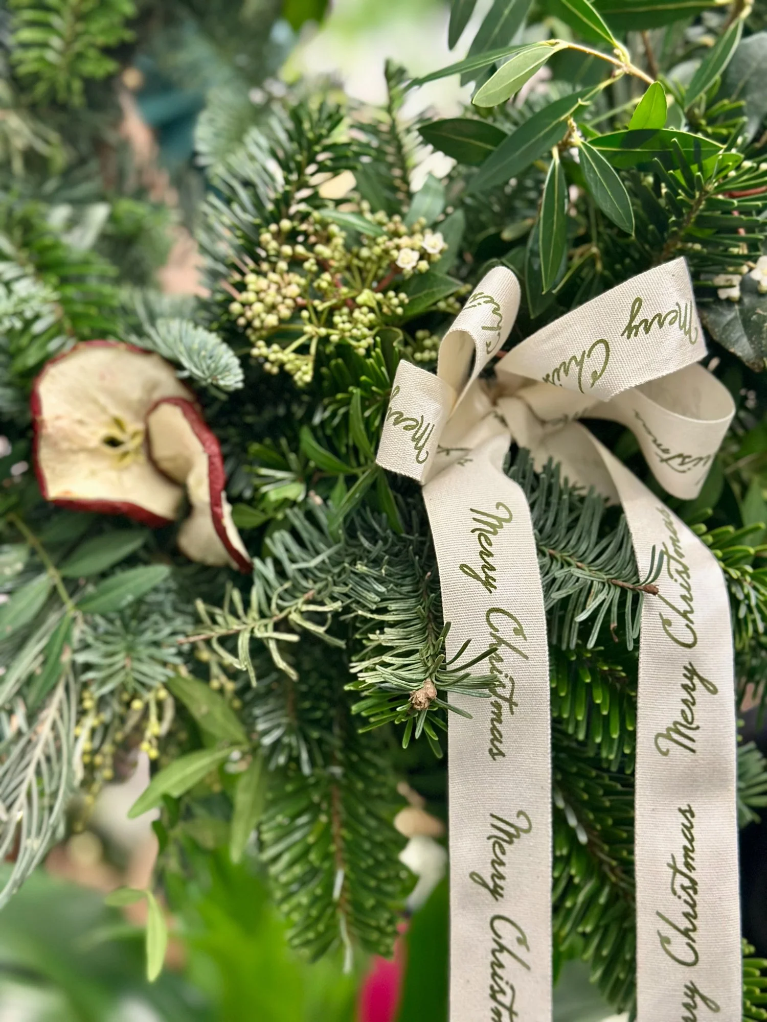 Close-up of a handcrafted Christmas wreath featuring fresh evergreen foliage, dried apple and decorative Christmas ribbon.