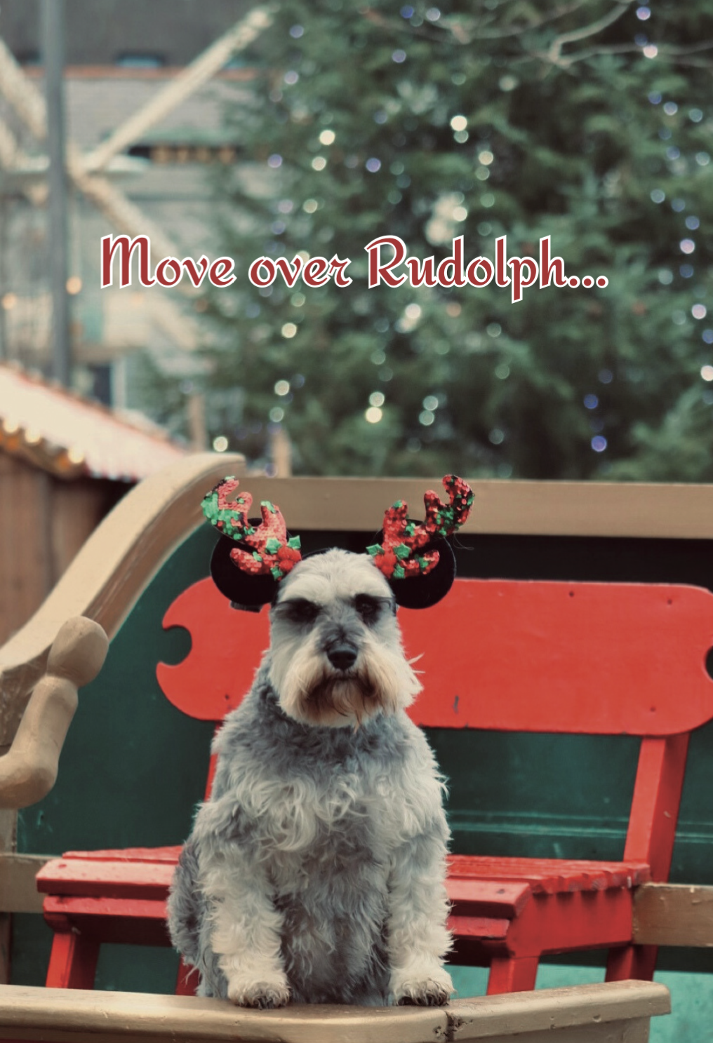 IMG_2324.png