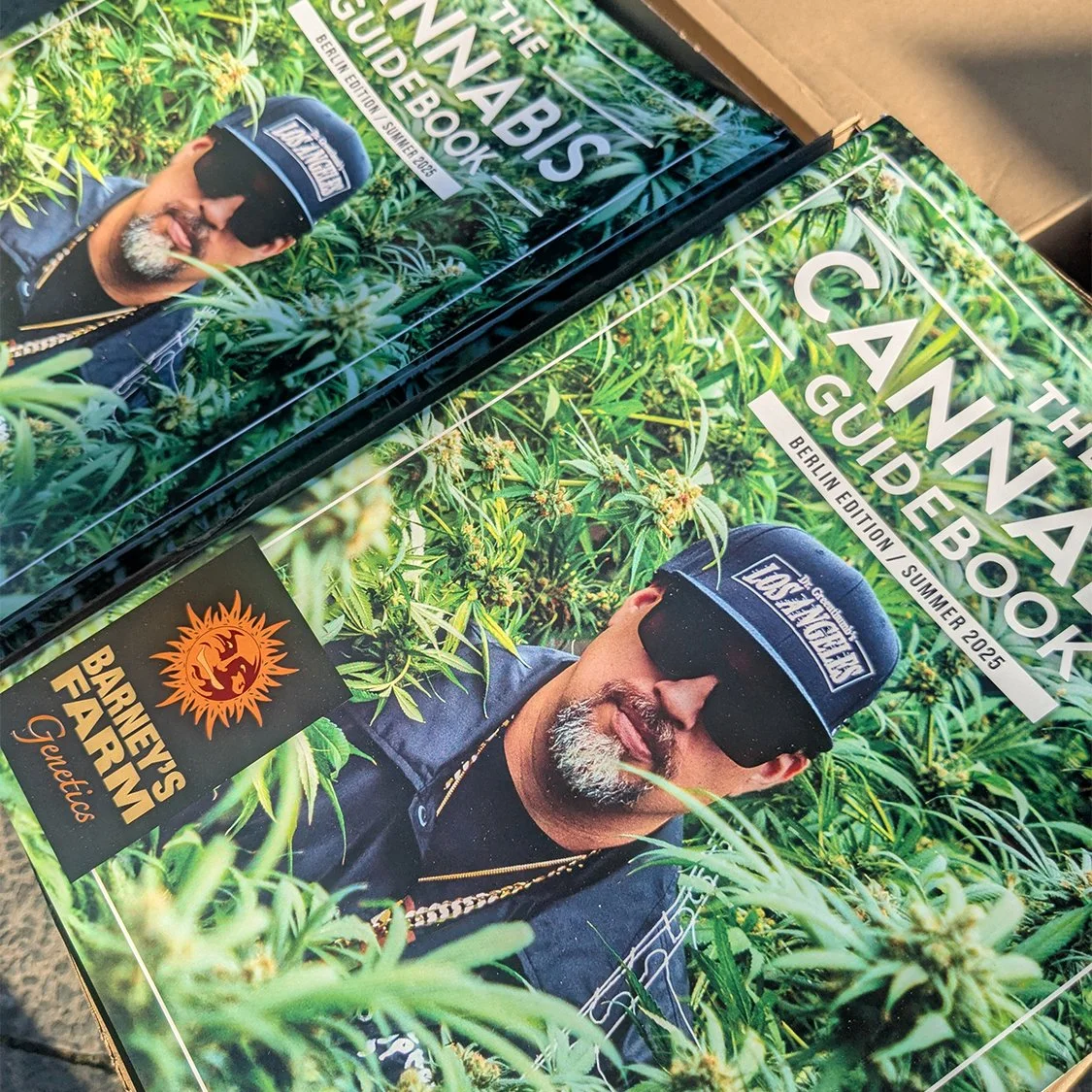 Skunk Magazine— Creative Direction + Editorial Design