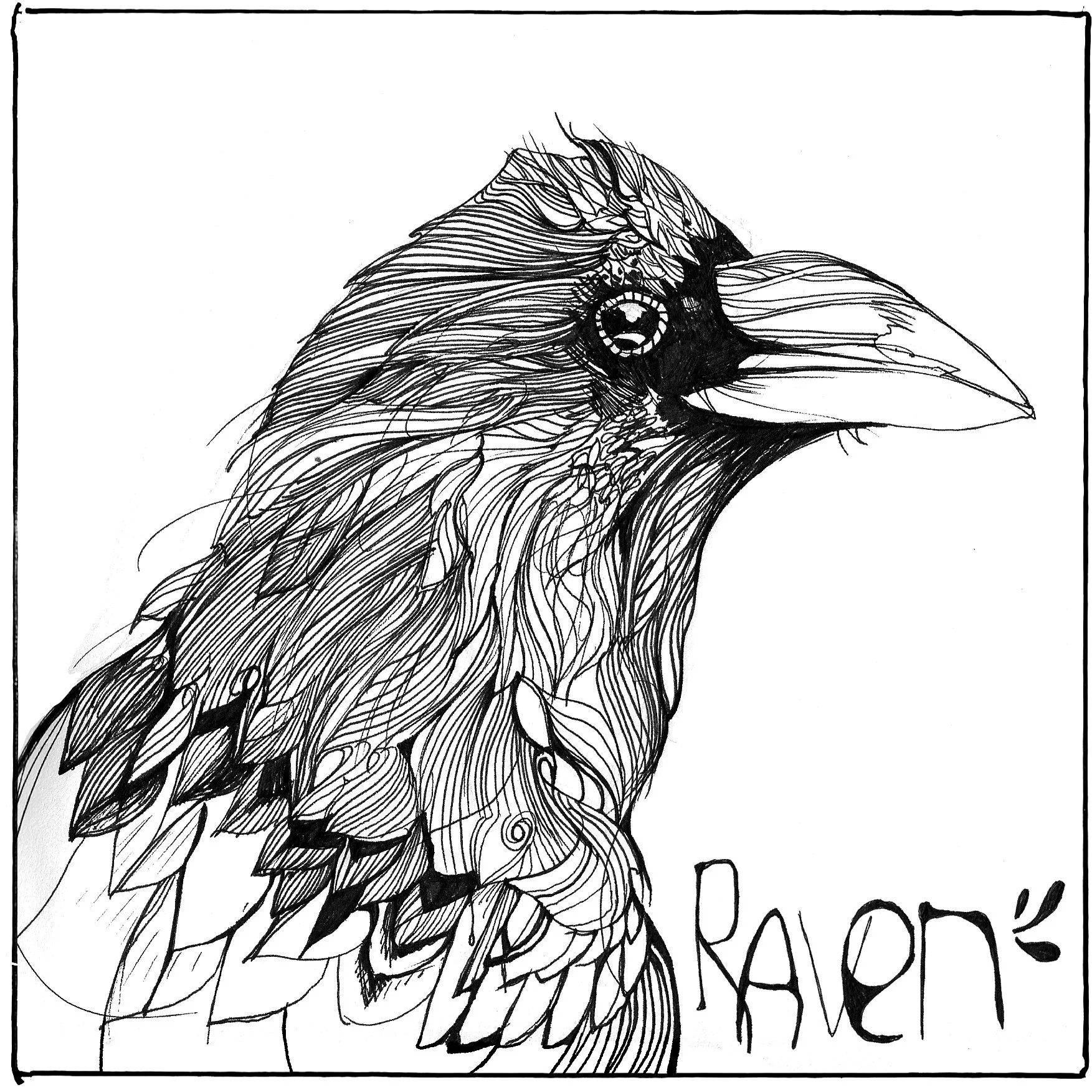 janelle_carter_despot_art_design_raven.jpg