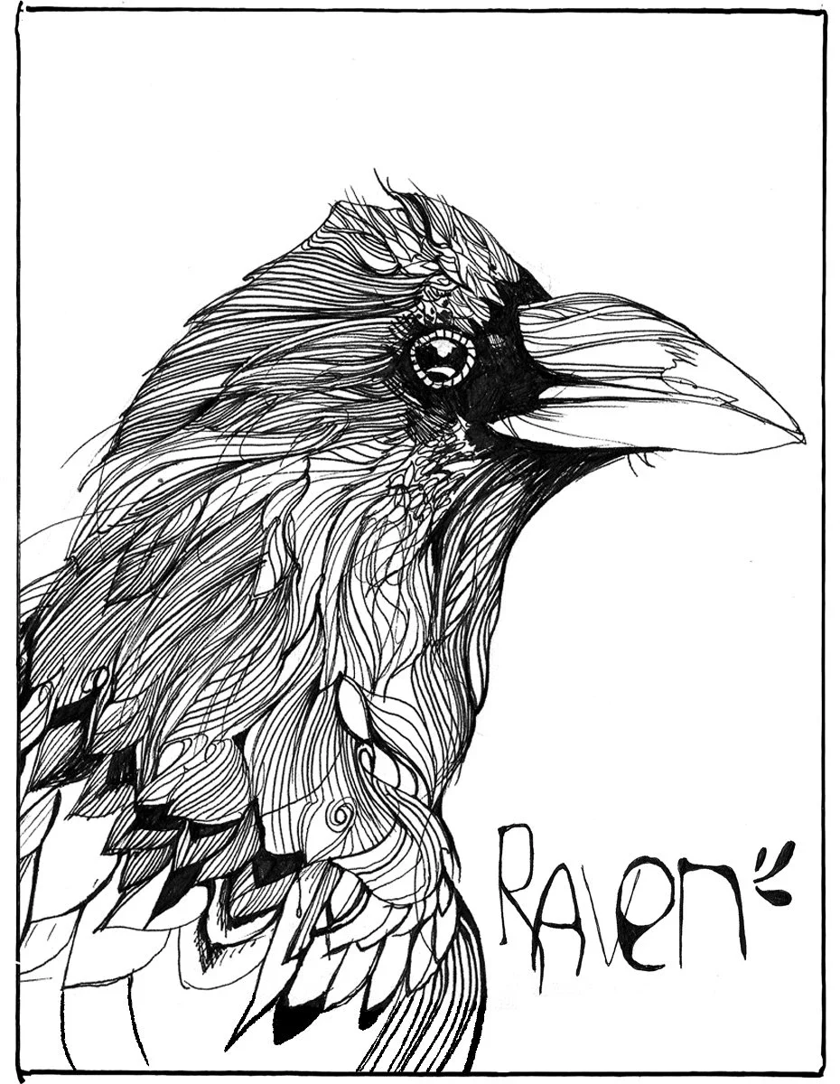 Janelle_Carter_raven_magick.webp