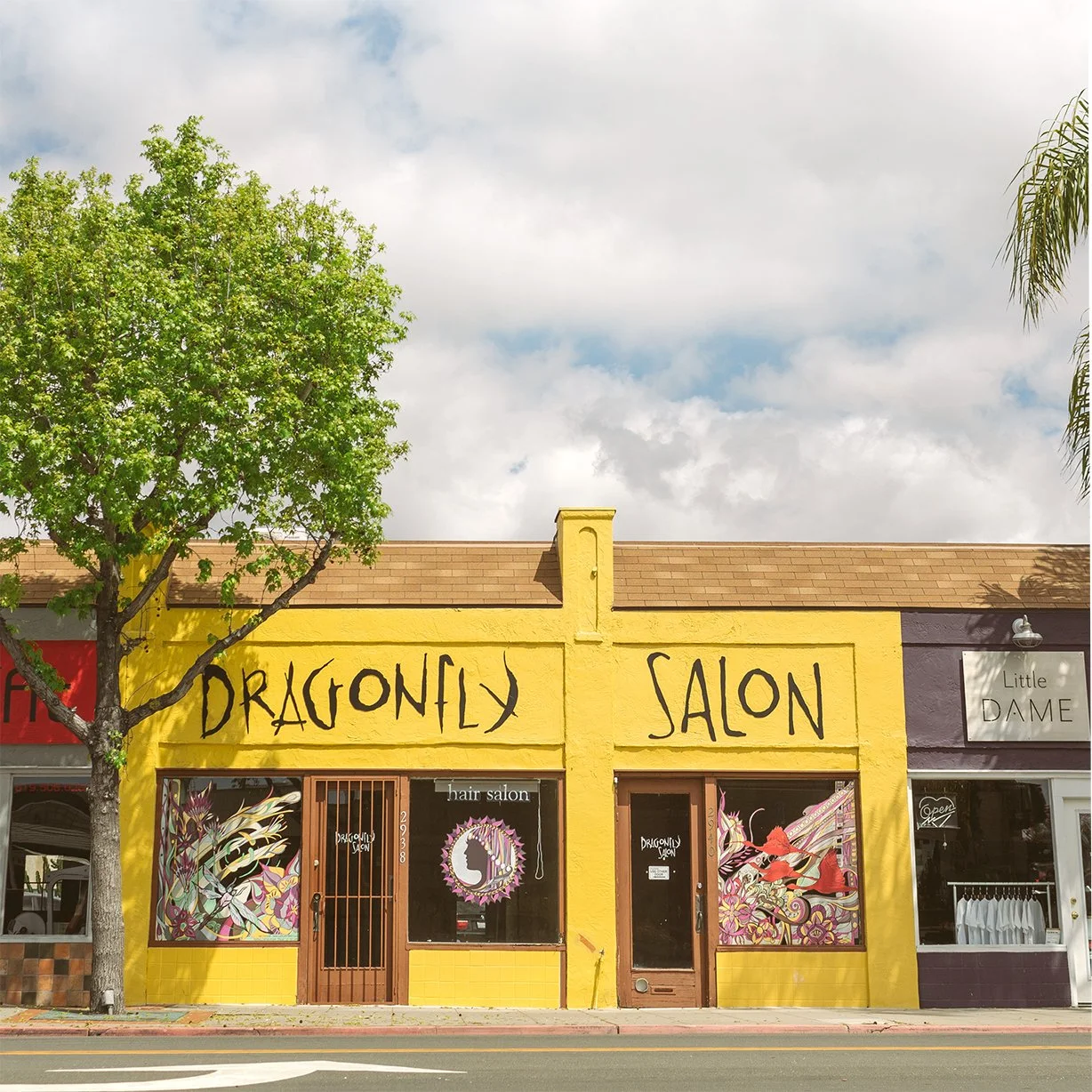 Dragonfly Salon — Branding and Environmental Design