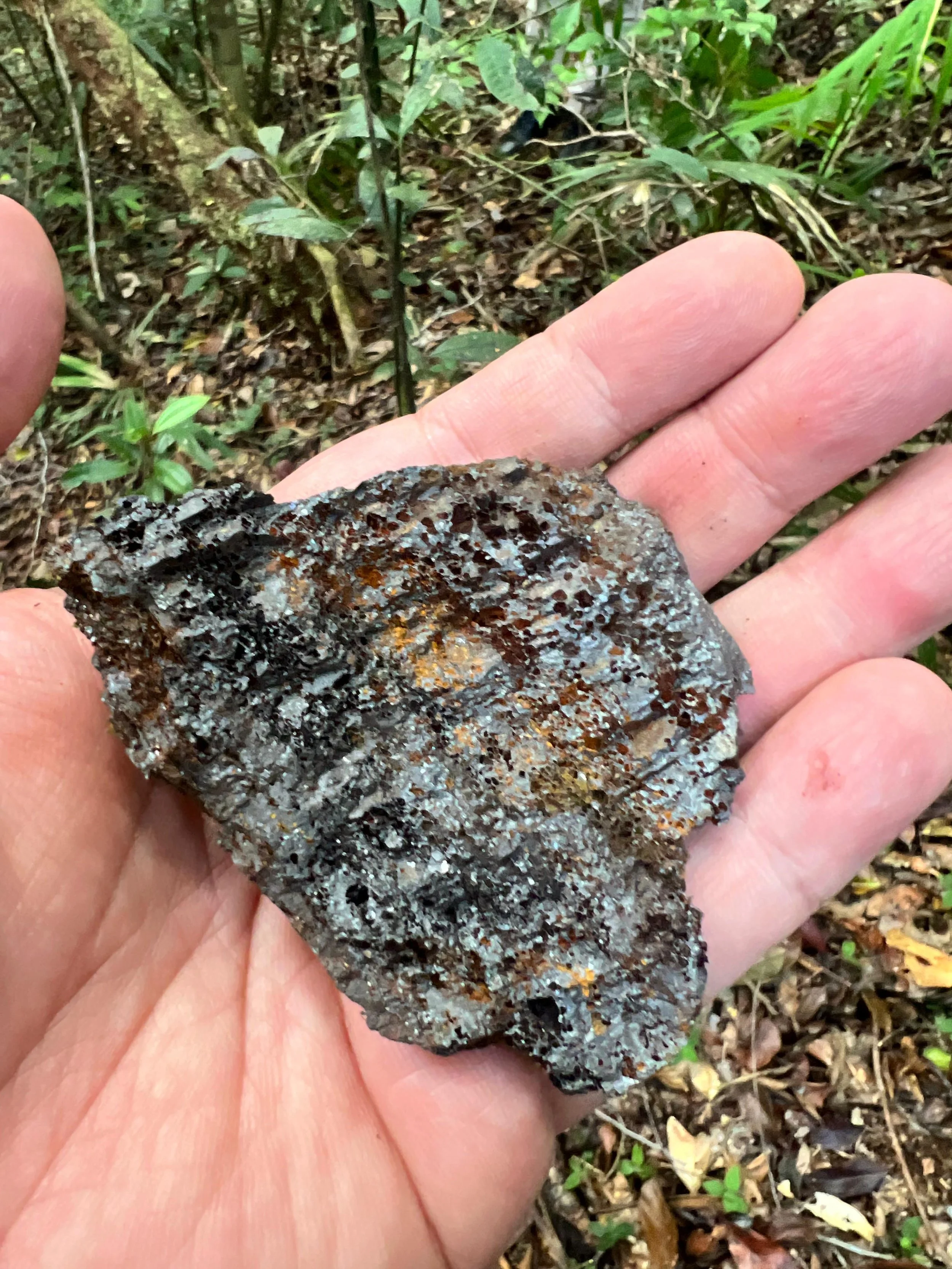 WhatsApp Image 2024-09-17 at 19.16.50 (3).jpeg