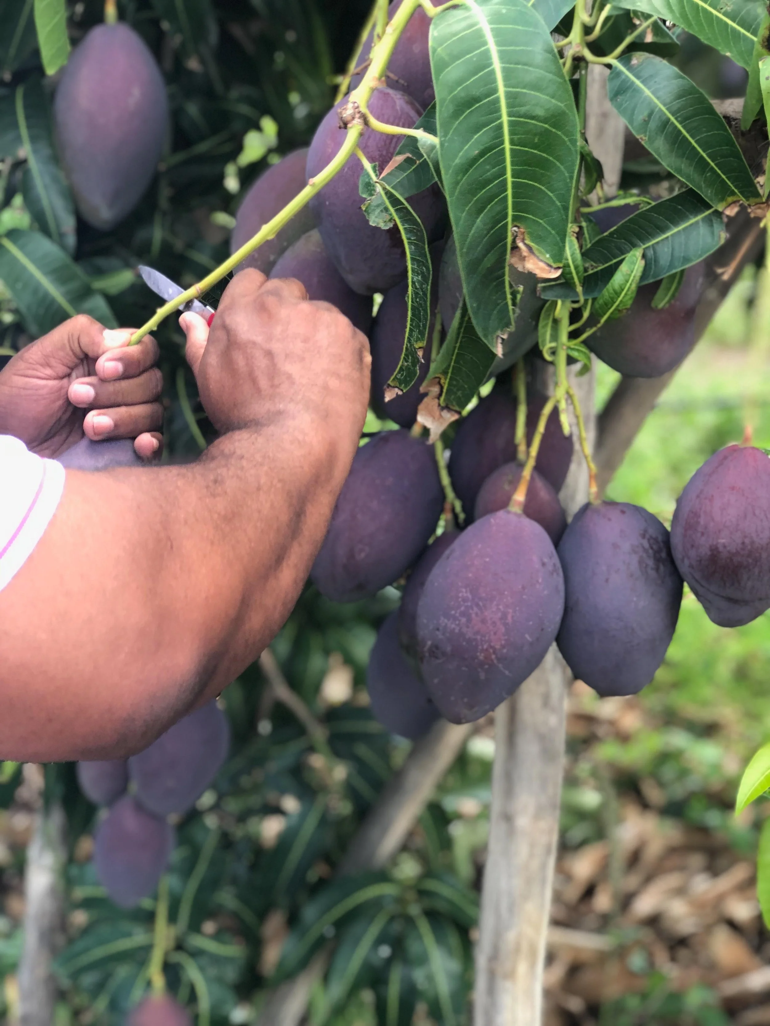 WhatsApp Image 2024-09-17 at 18.38.11.jpeg