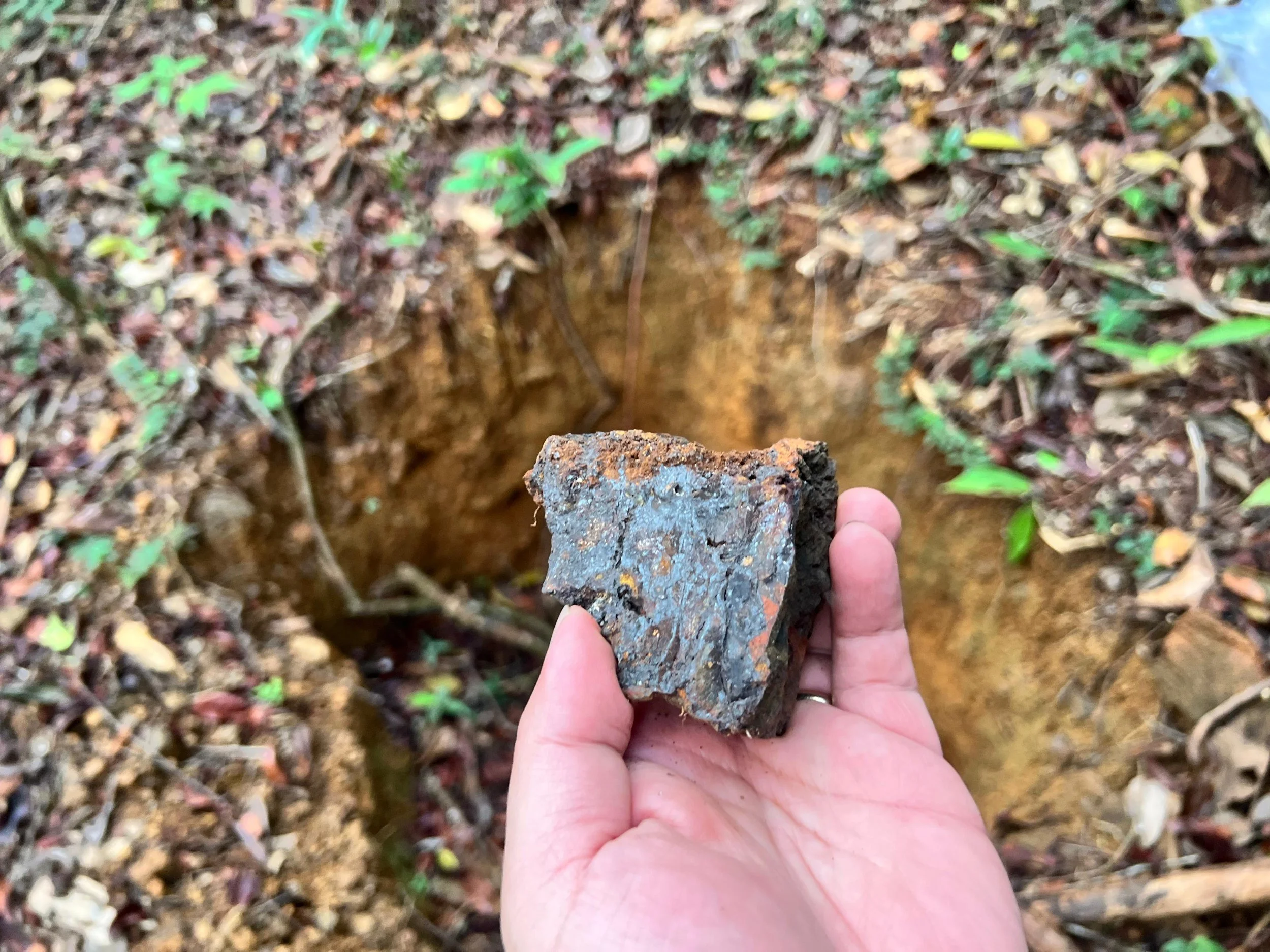 WhatsApp Image 2024-09-17 at 19.16.50 (4).jpeg