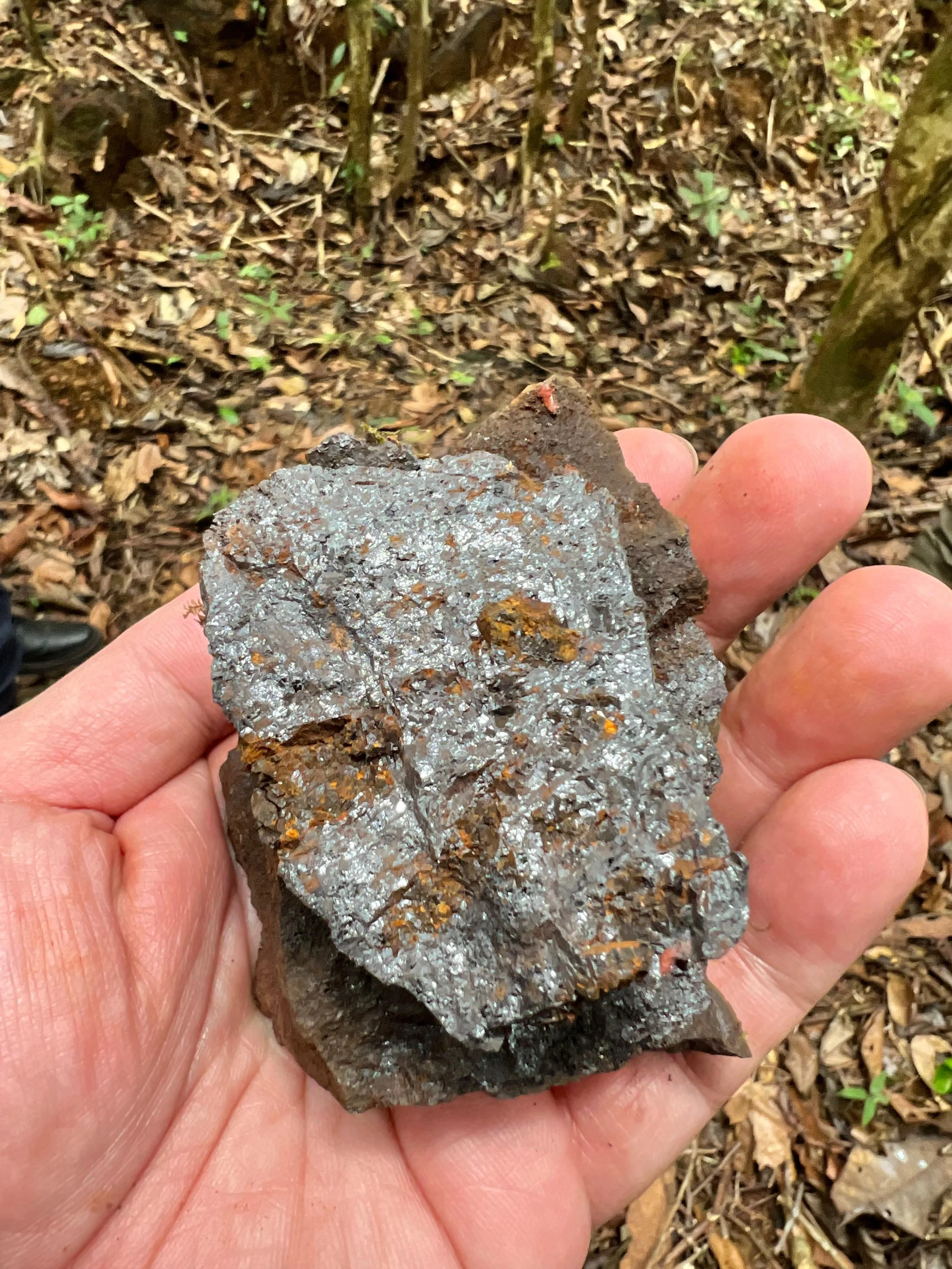 WhatsApp Image 2024-09-17 at 19.16.52.jpeg