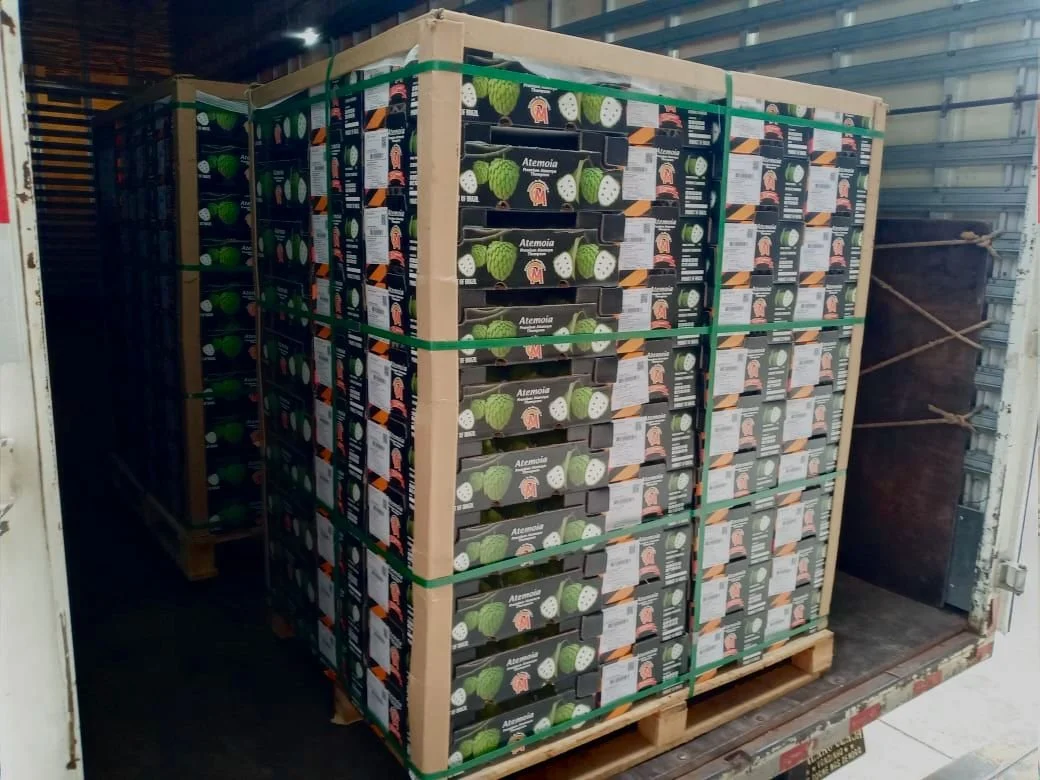 WhatsApp Image 2024-09-17 at 18.38.14.jpeg