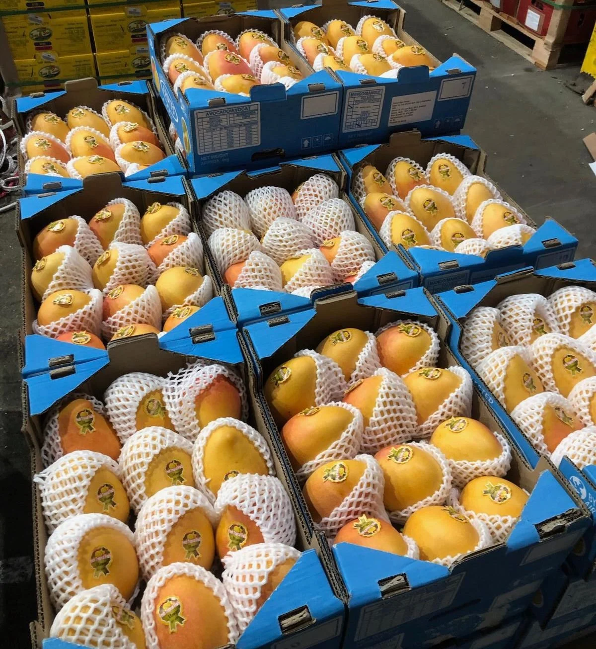 WhatsApp Image 2024-09-17 at 18.37.45 (1).jpeg