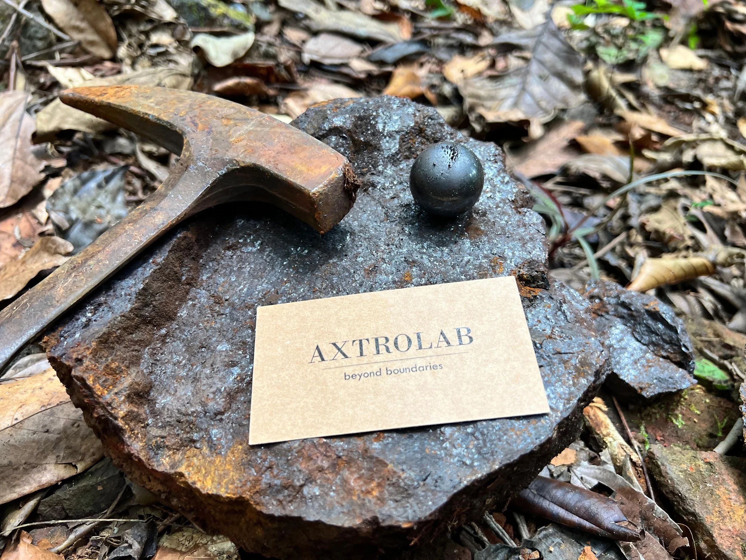 WhatsApp Image 2024-09-17 at 19.16.52 (2).jpeg