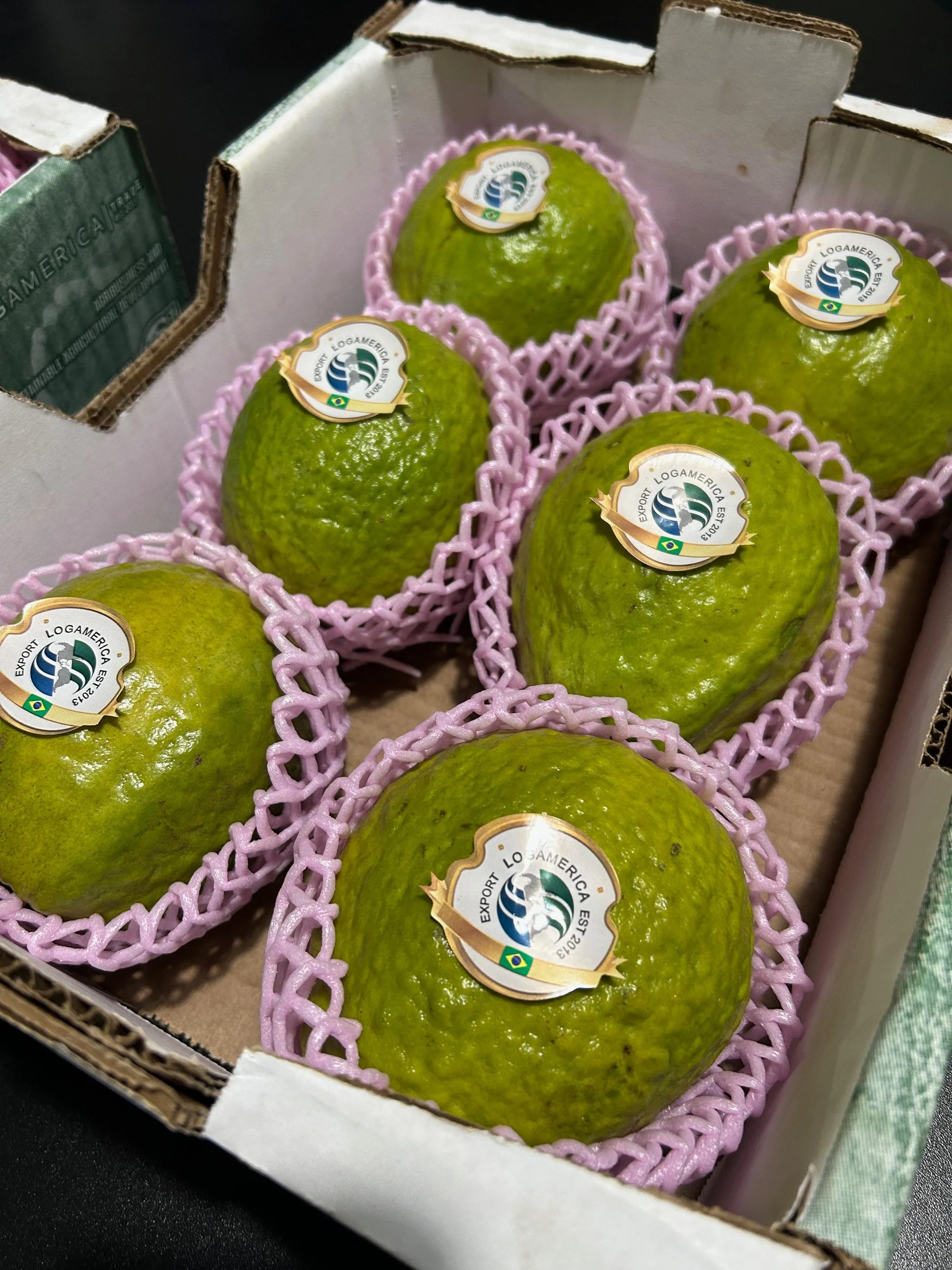 WhatsApp Image 2024-09-17 at 18.38.13.jpeg