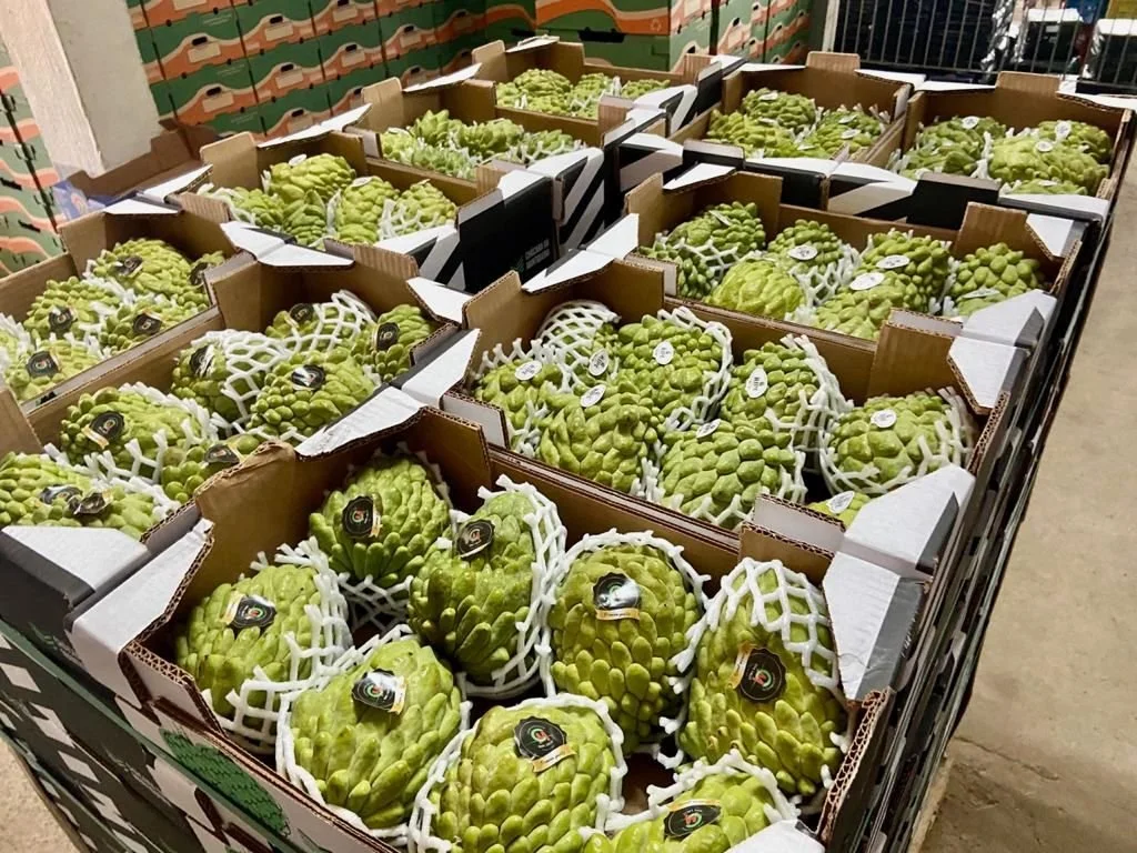 WhatsApp Image 2024-09-17 at 18.38.13 (1).jpeg