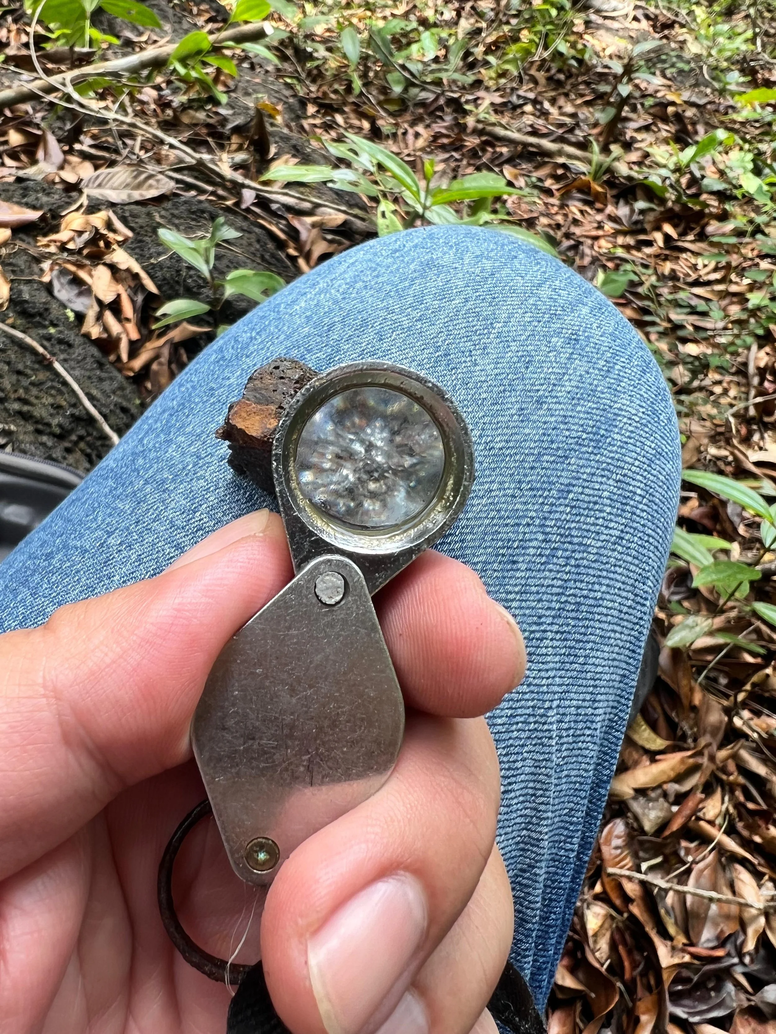 WhatsApp Image 2024-09-17 at 19.15.05.jpeg