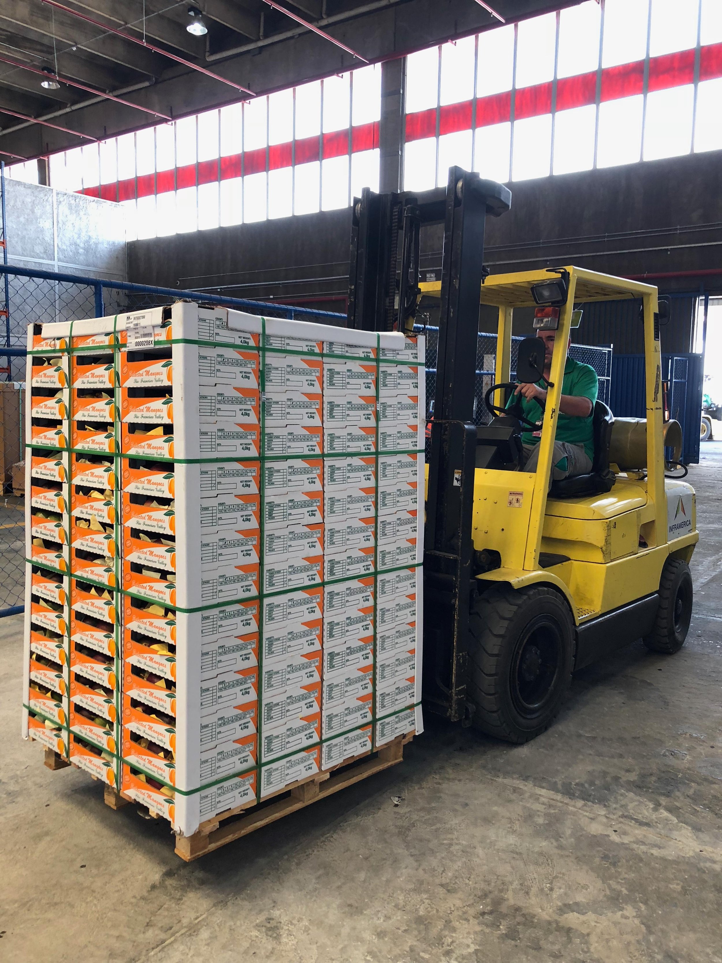 WhatsApp Image 2024-09-17 at 18.38.14 (1).jpeg