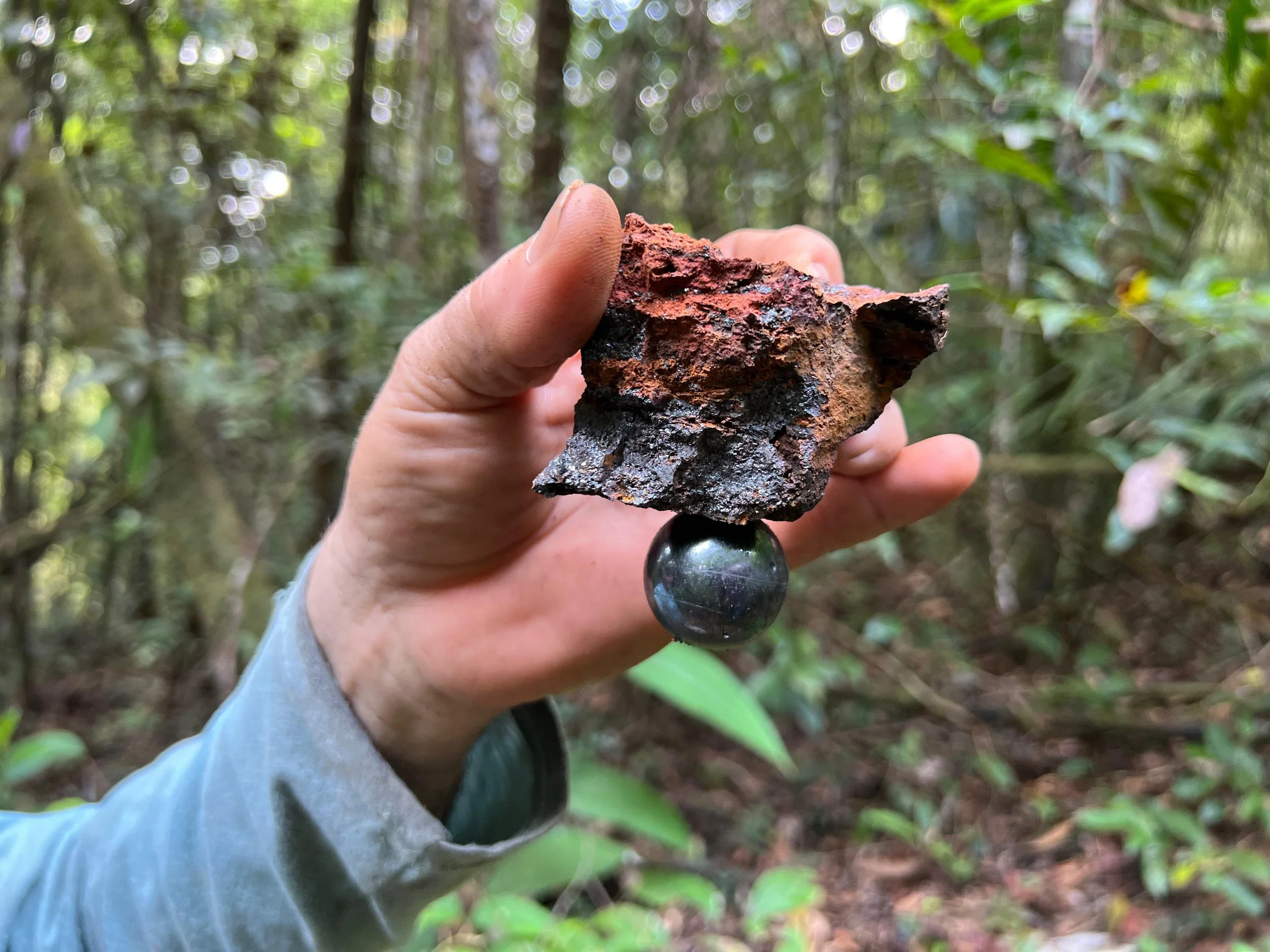 WhatsApp Image 2024-09-17 at 19.15.04.jpeg