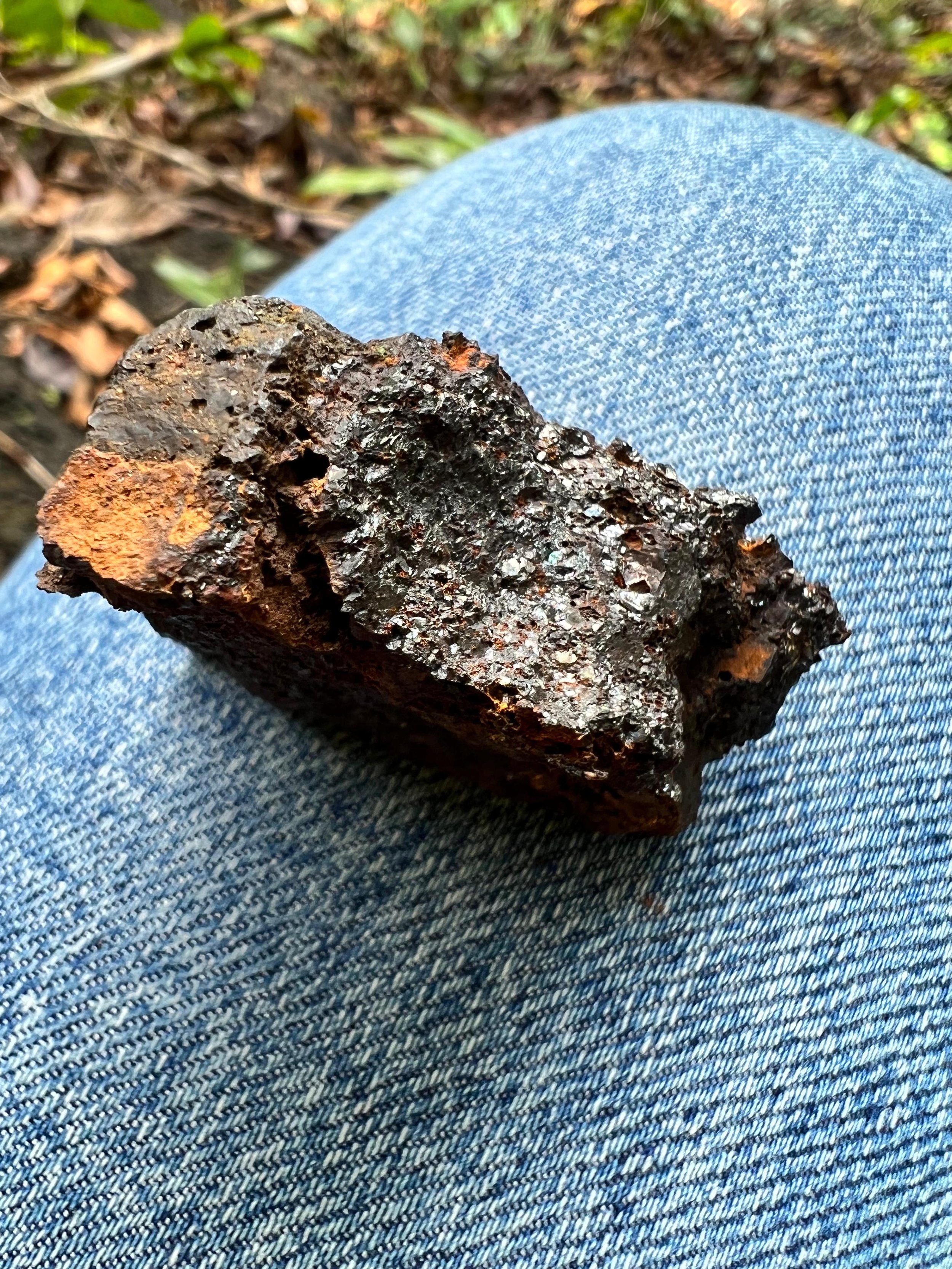 WhatsApp Image 2024-09-17 at 19.16.50.jpeg