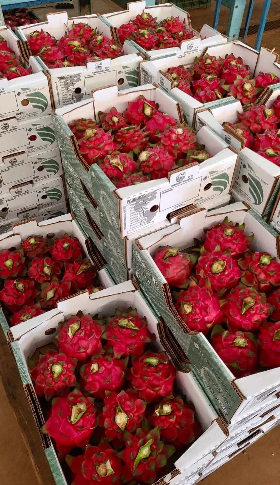 WhatsApp Image 2024-09-17 at 18.37.49.jpeg