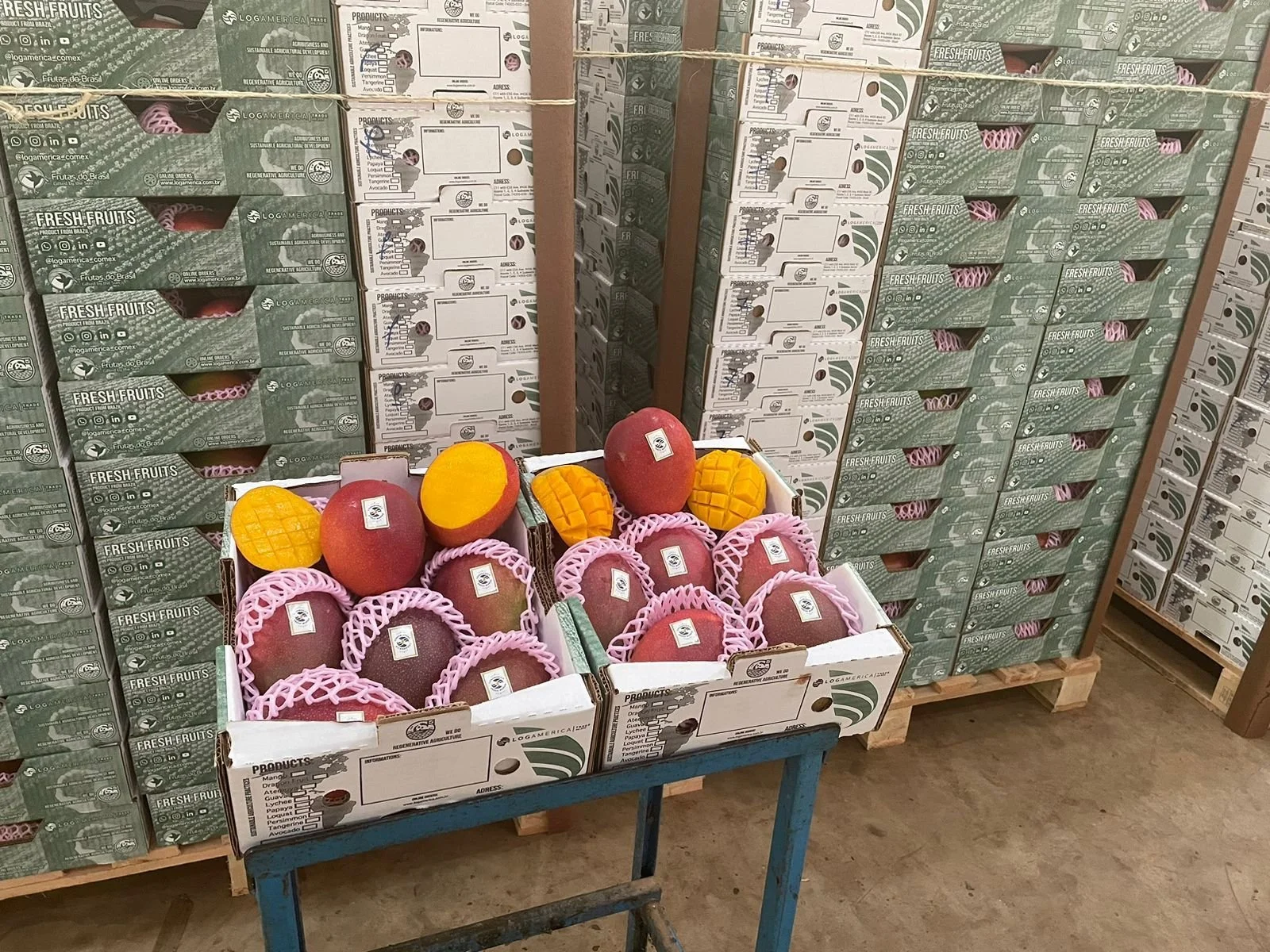 WhatsApp Image 2024-09-17 at 18.37.46.jpeg