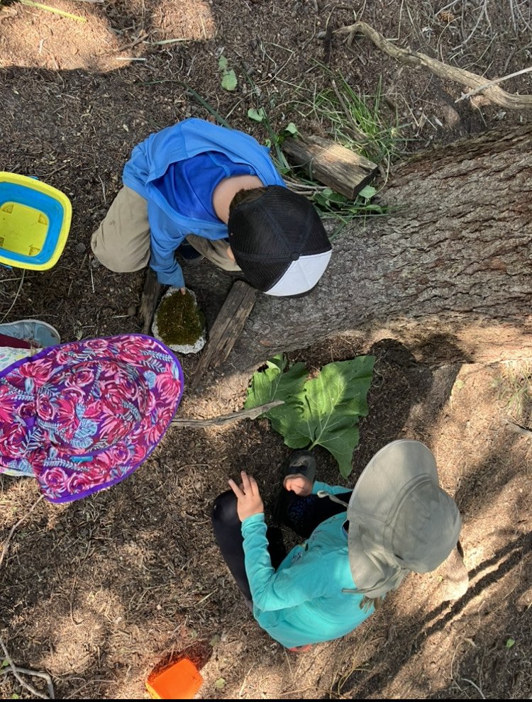 Summer Camp Tuition