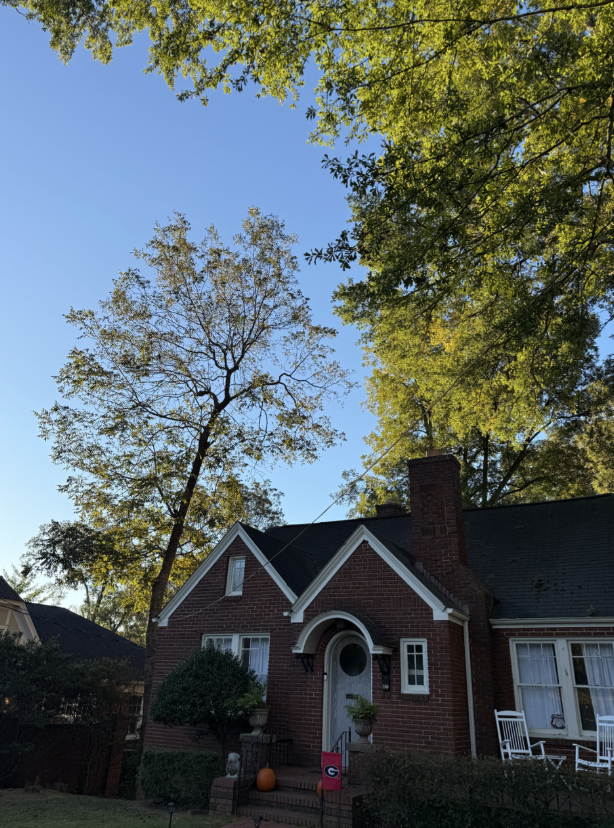 If These Walls Could Talk