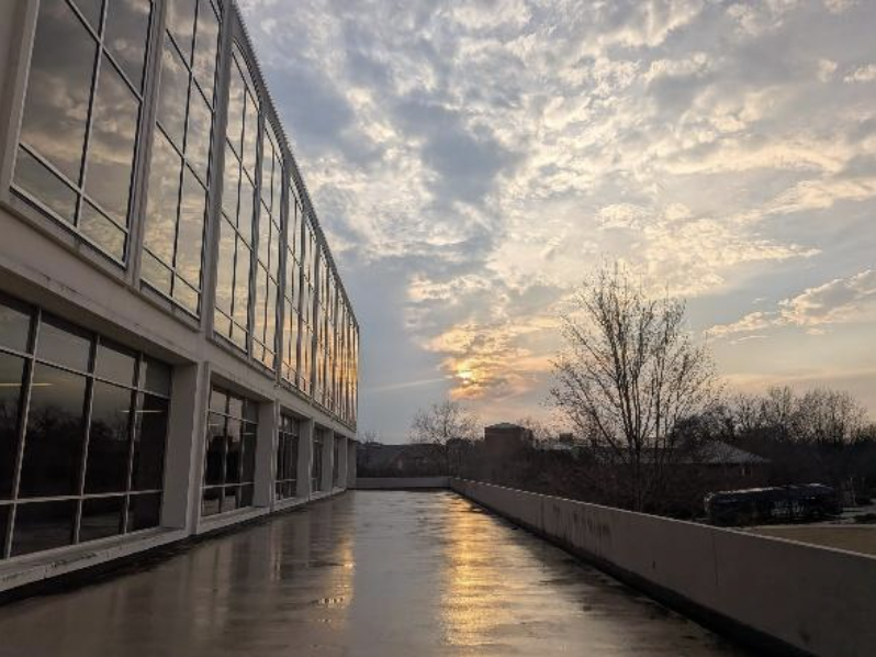 The Little Things That Save You Teena Pappula