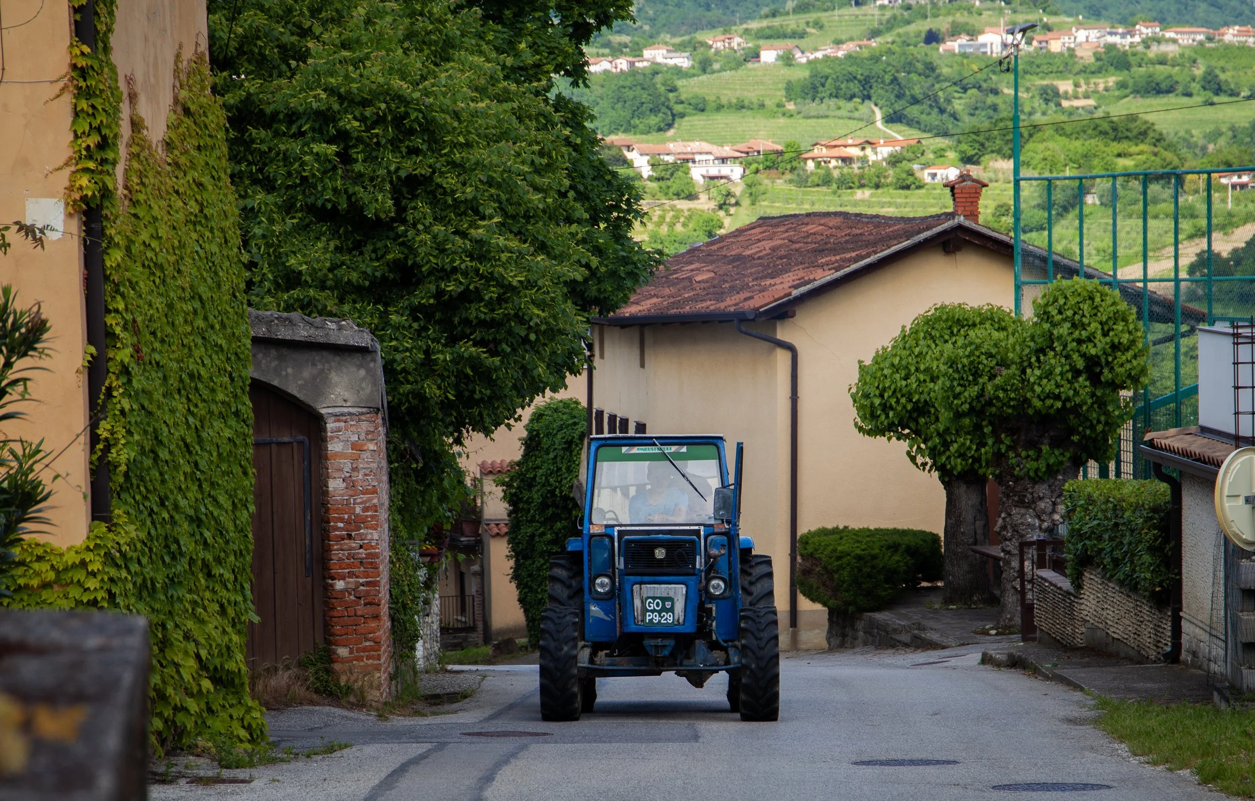 A blue tractor driving down a narrow residential street surrounded by trees and houses with red-tiled roofs, and green rolling hills in the background.
