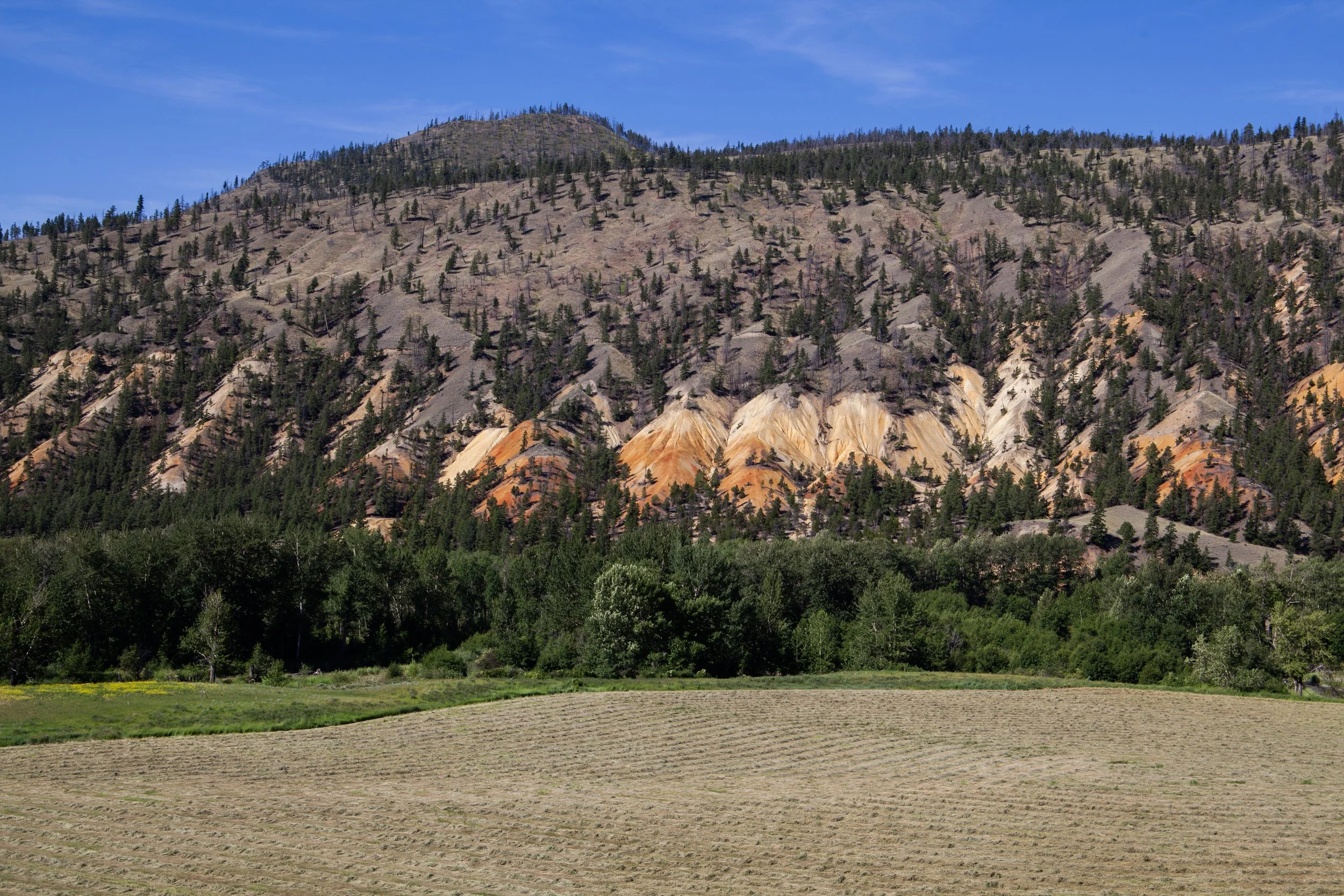 A landscape of a mountain with colorful, layered rock formations and scattered trees, with a field and green trees in the foreground.