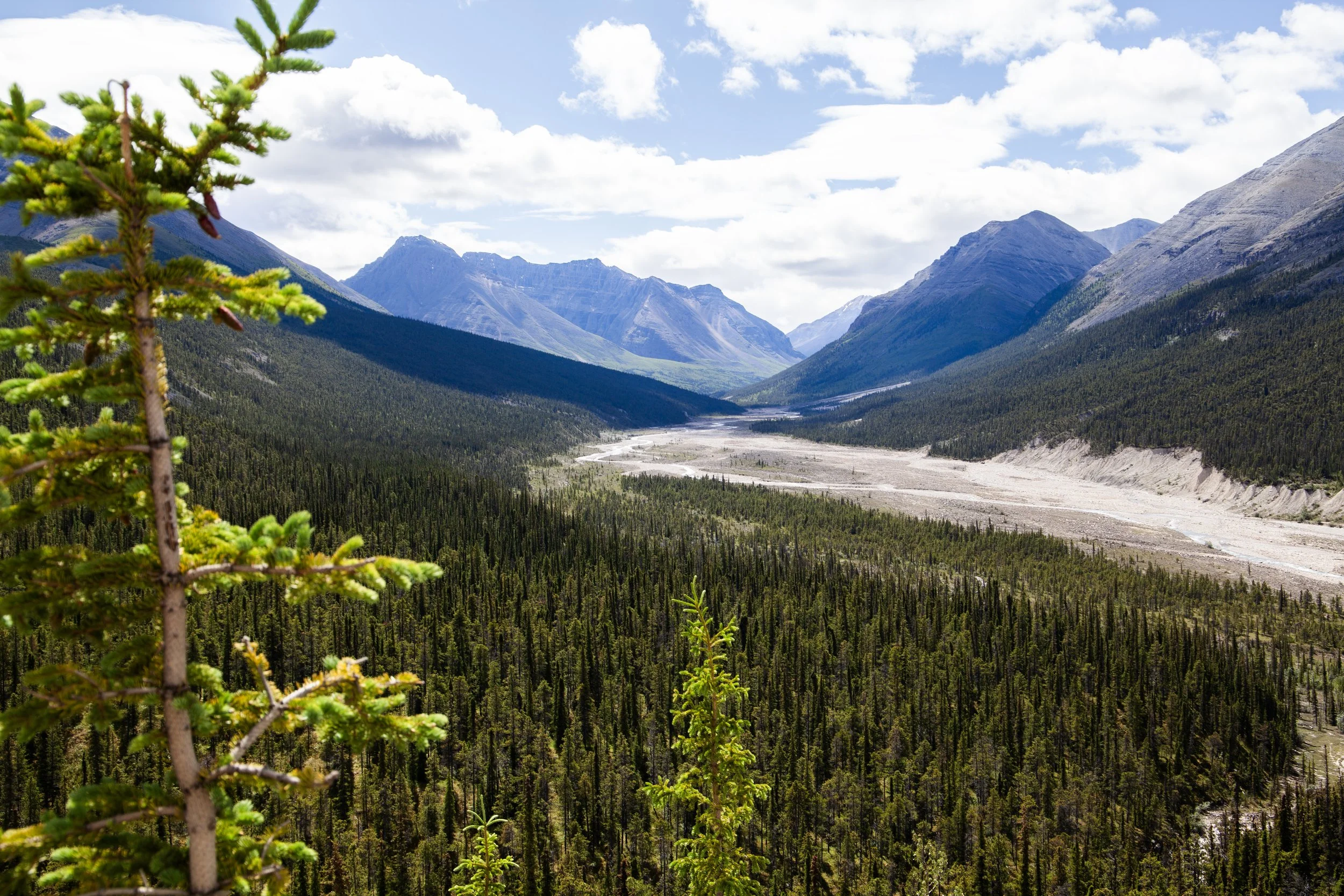 Mountains and forested valley with a dry riverbed, under a partly cloudy sky.