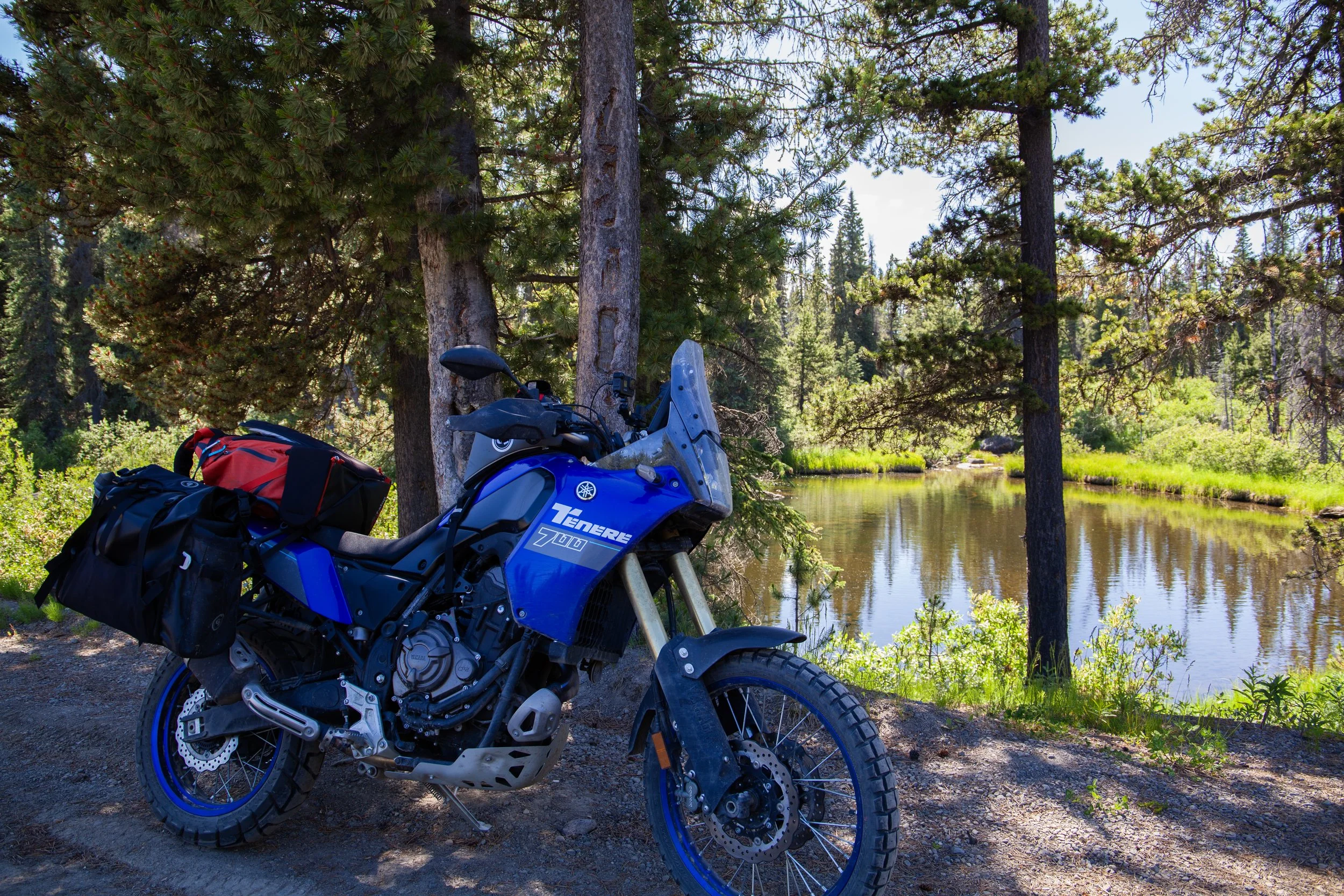 A blue Yamaha Tenere 700 motorcycle parked beside tall trees near a river in a forested area with lush green foliage and clear sky.