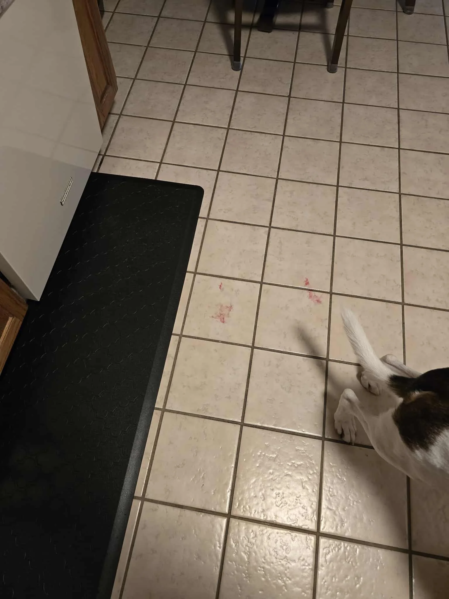 received_1907747216732552.jpeg