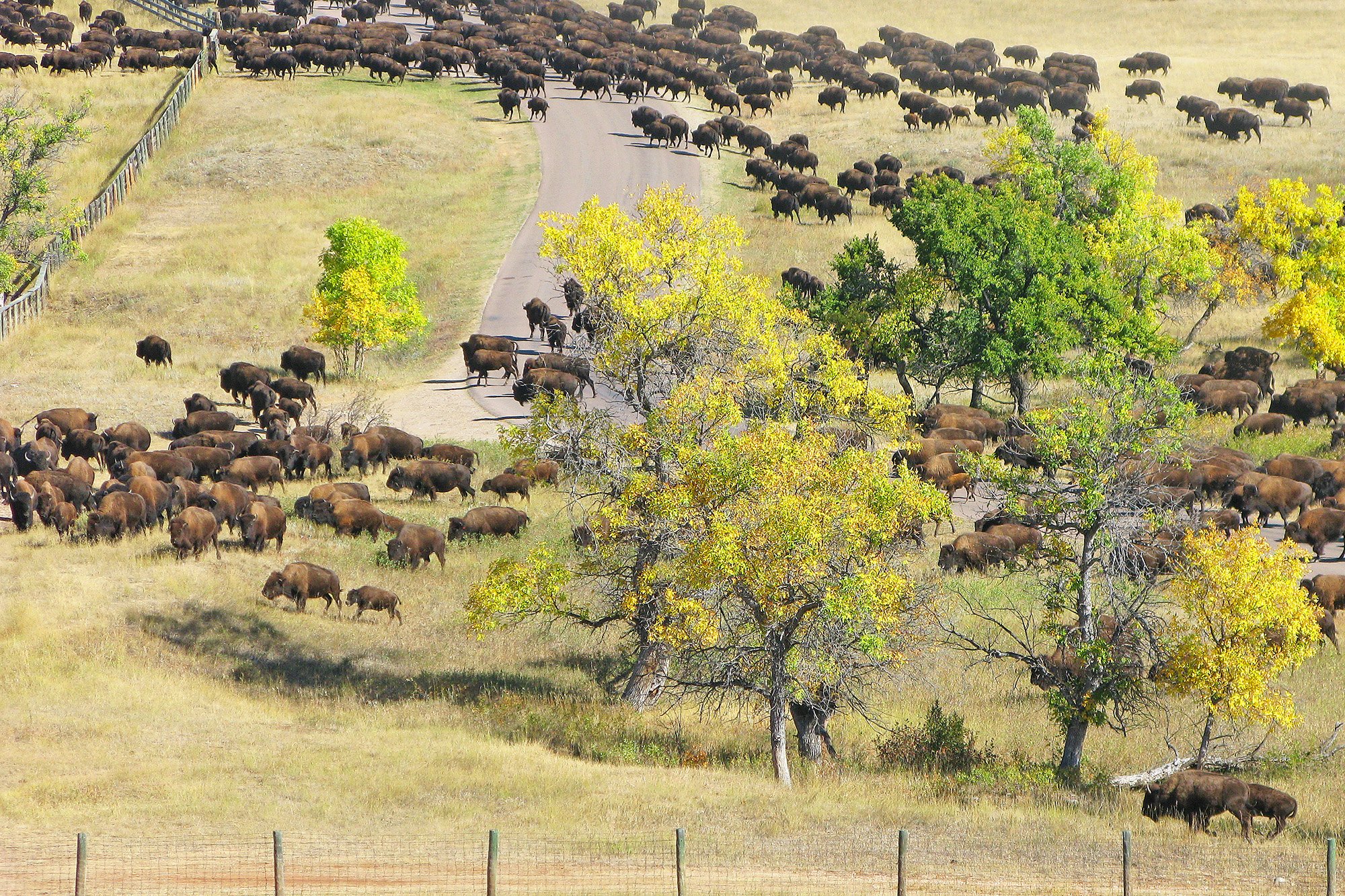 Four Bands Community Fund uses data to transform Indigenous finance