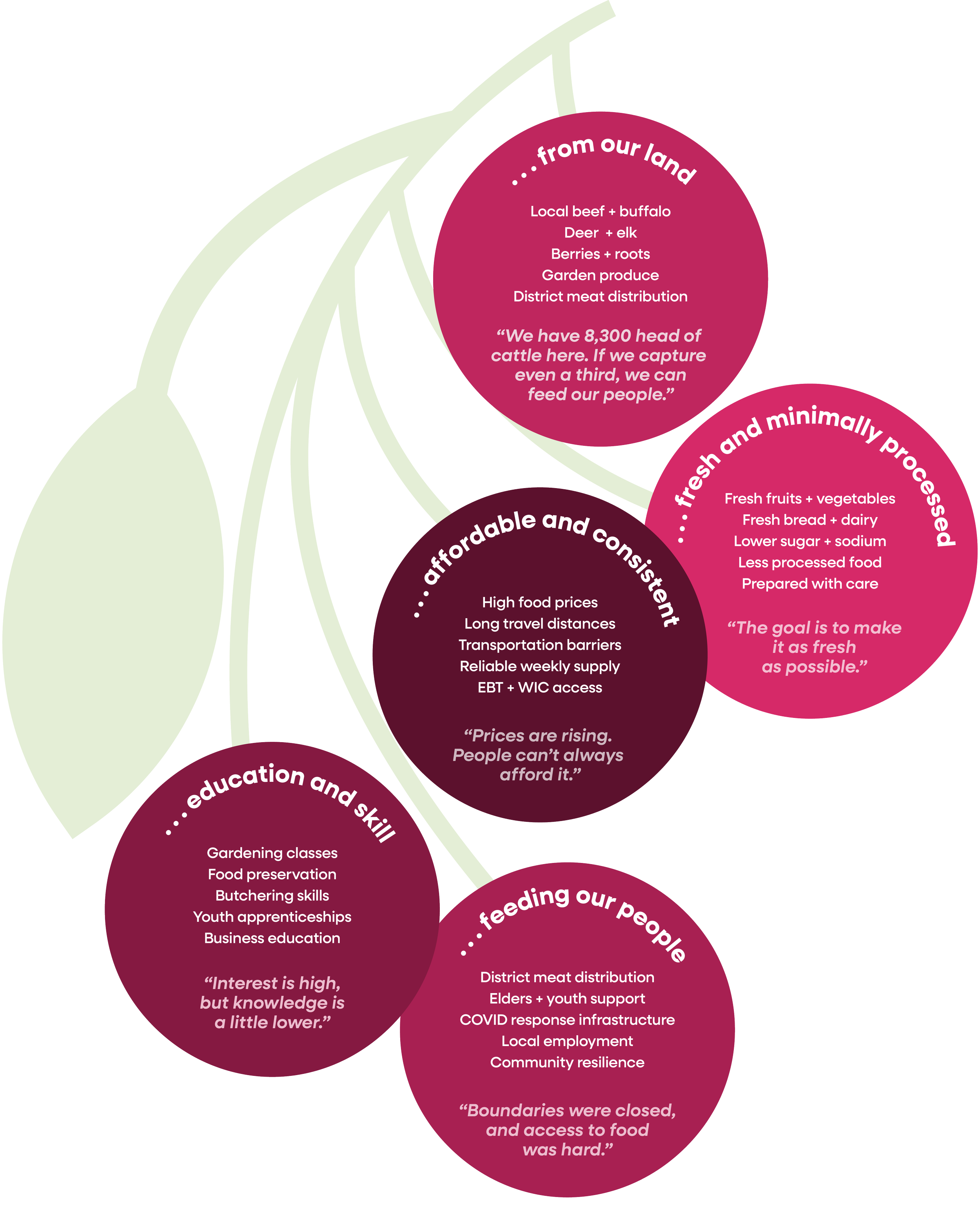 Graphic depiction of chokecherries used as an infographic that describes healthy foods.