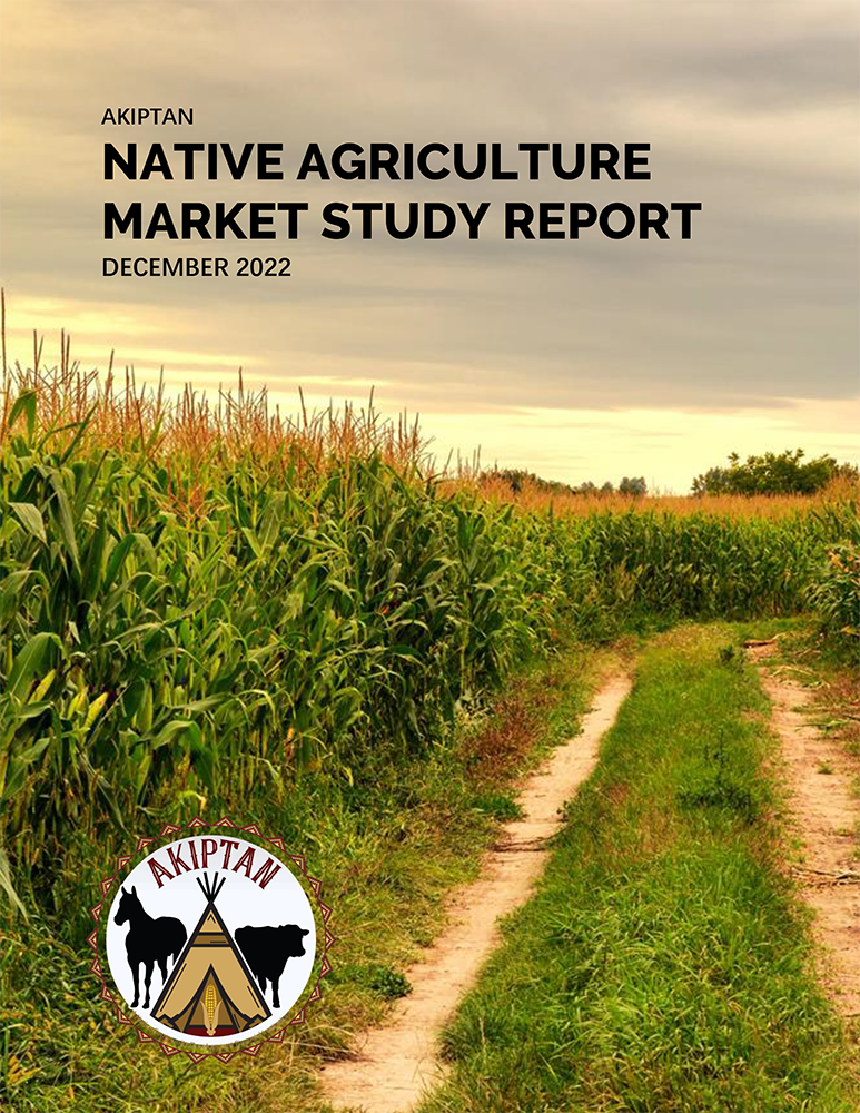 Report cover
