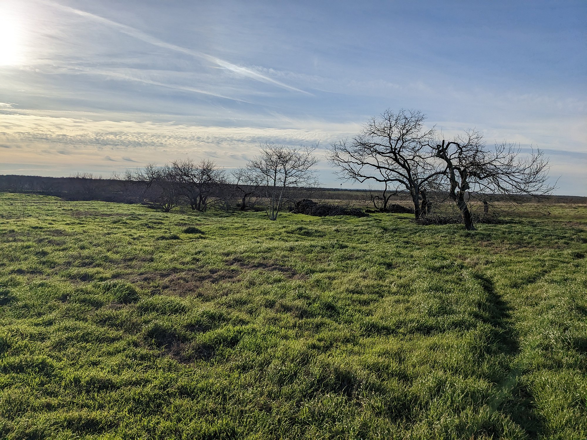 Land surrounding Texas Tribal Buffalo Project headquarters in Waelder, Texas, in February 2023.