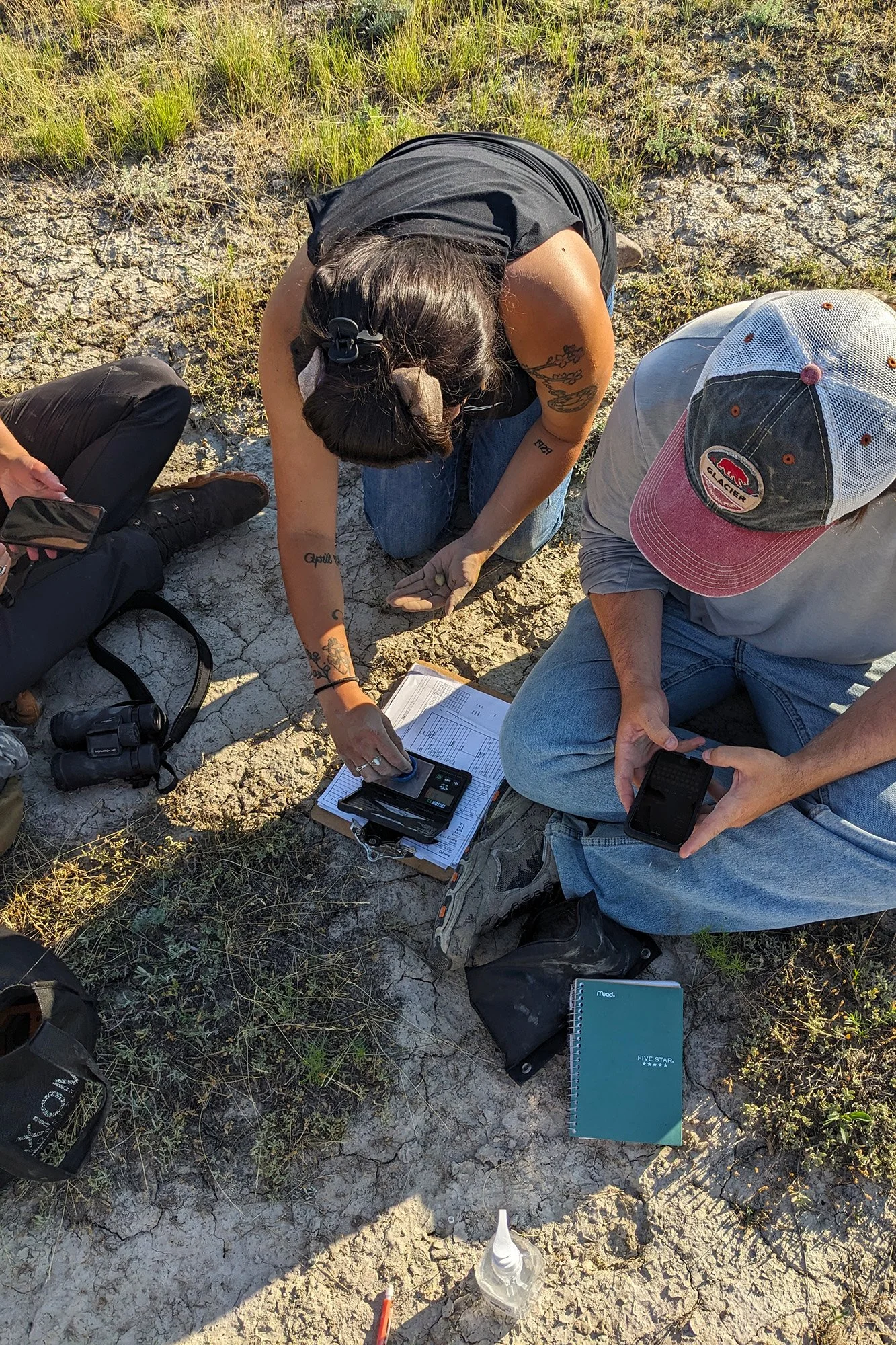 Buffalo Center technicians and interns check for grassland bird eggs to weigh and measure in July 2024.