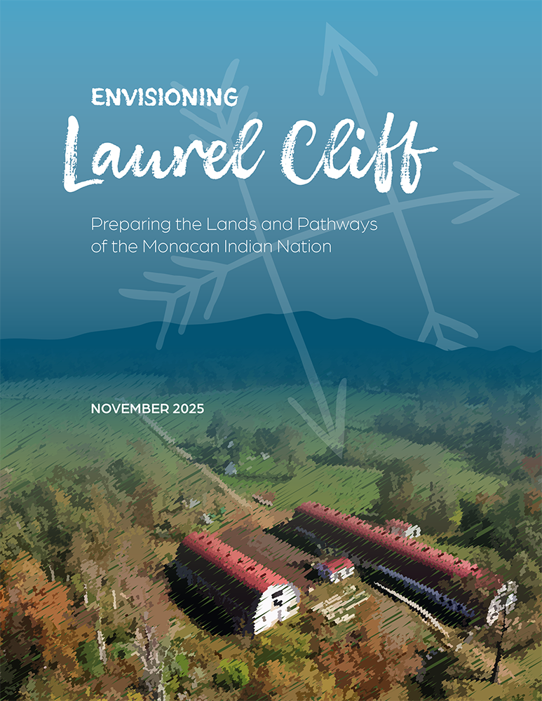 Report cover