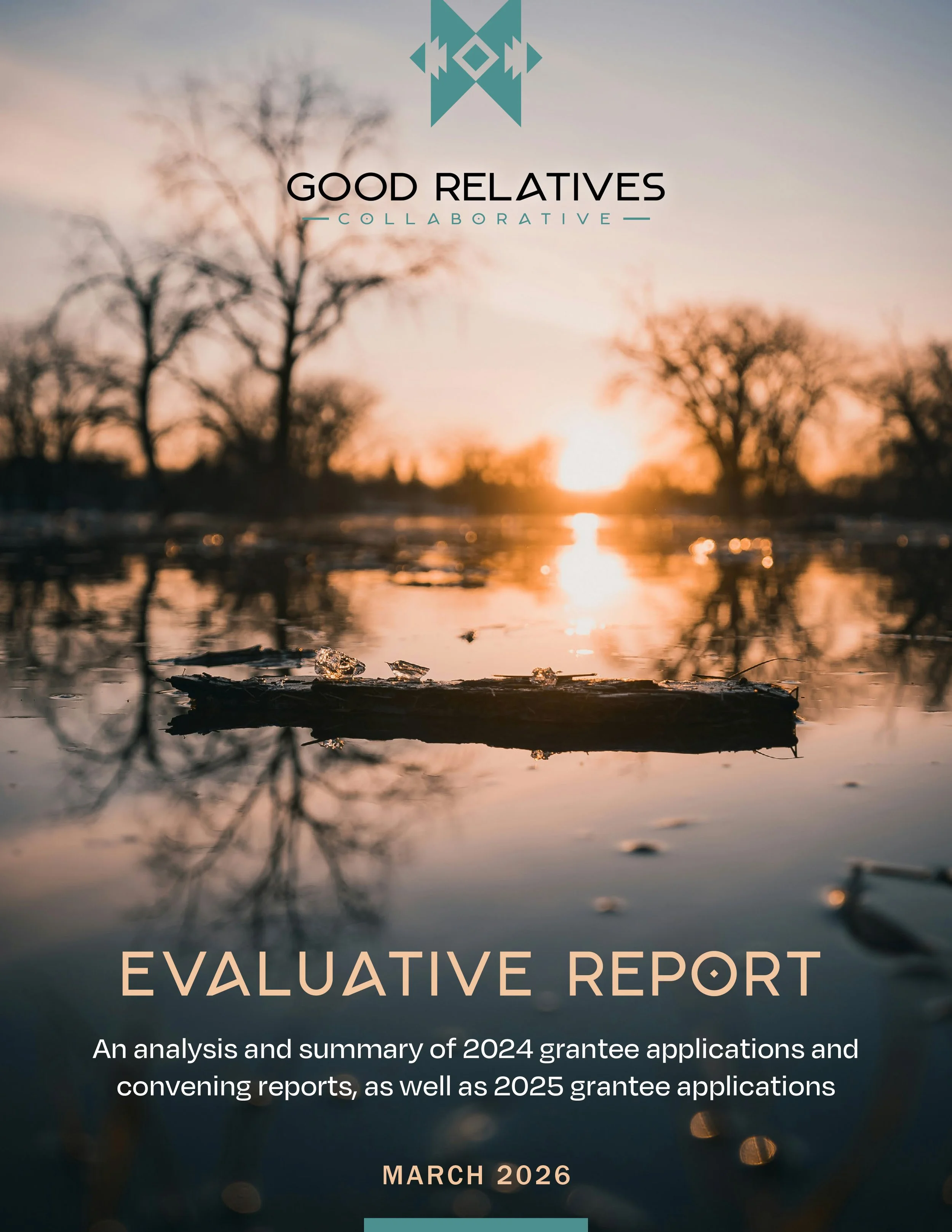 Report cover.