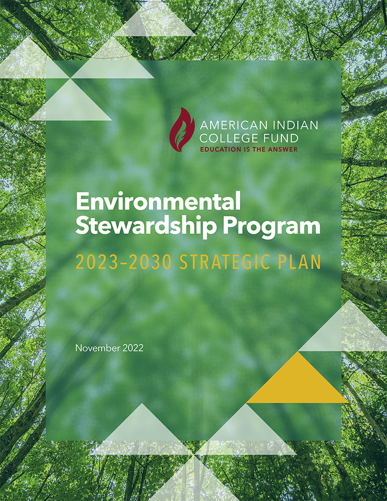 Report cover