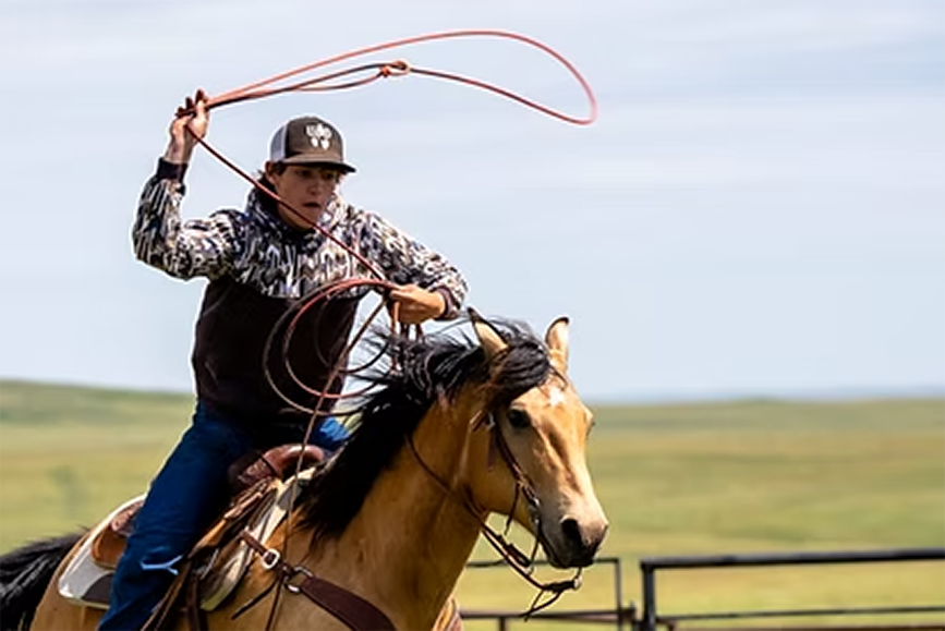 A young rancher on horseback ropes a calf.